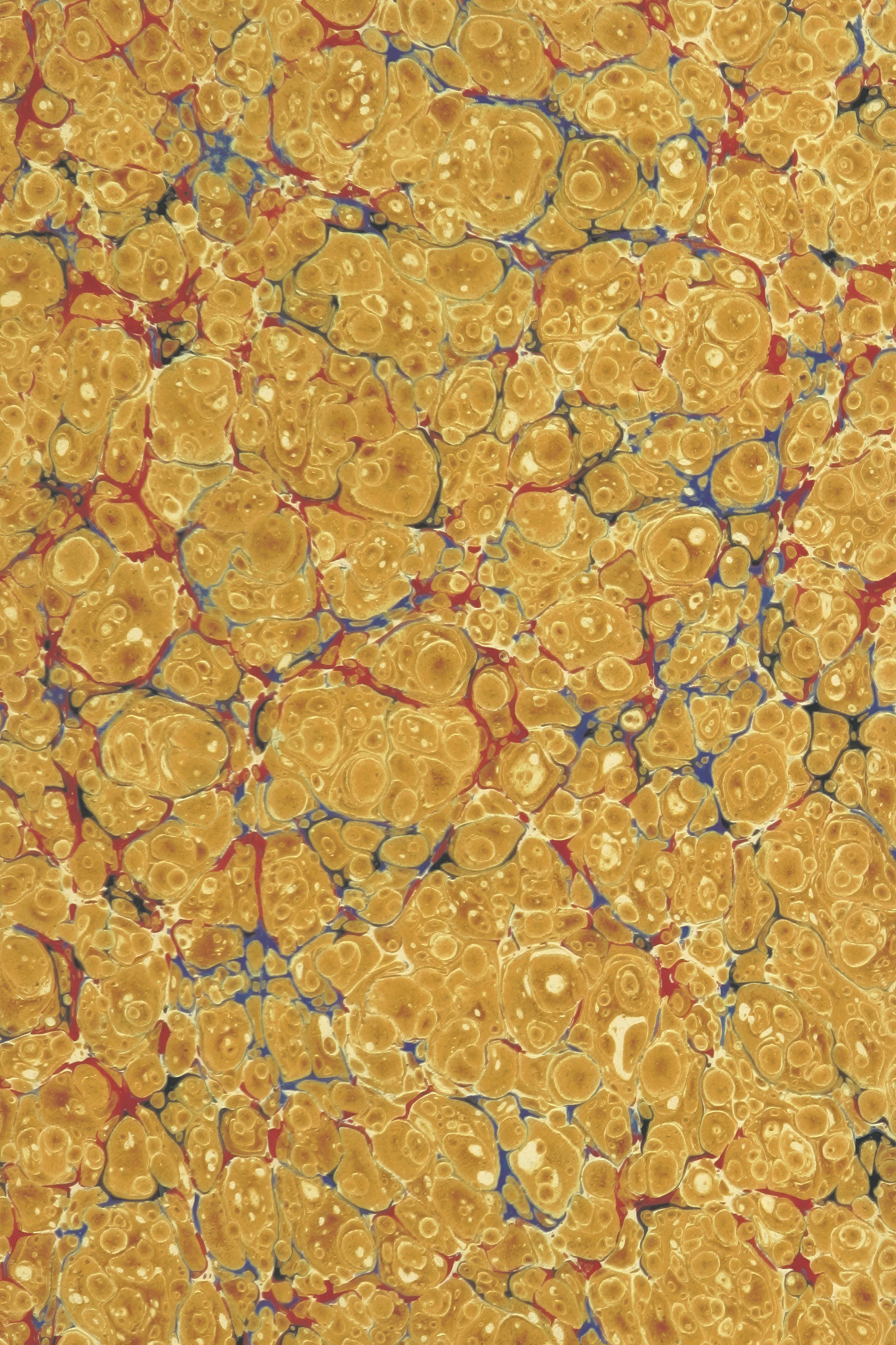 blue veins wallpaper, wallpaper, 5 Perbedaan Varises dan Urat Biasa yang Perlu Diketahui 4