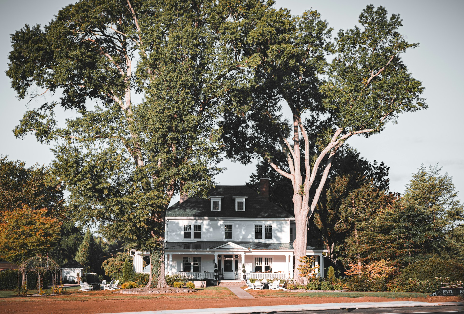 White house framed by large trees