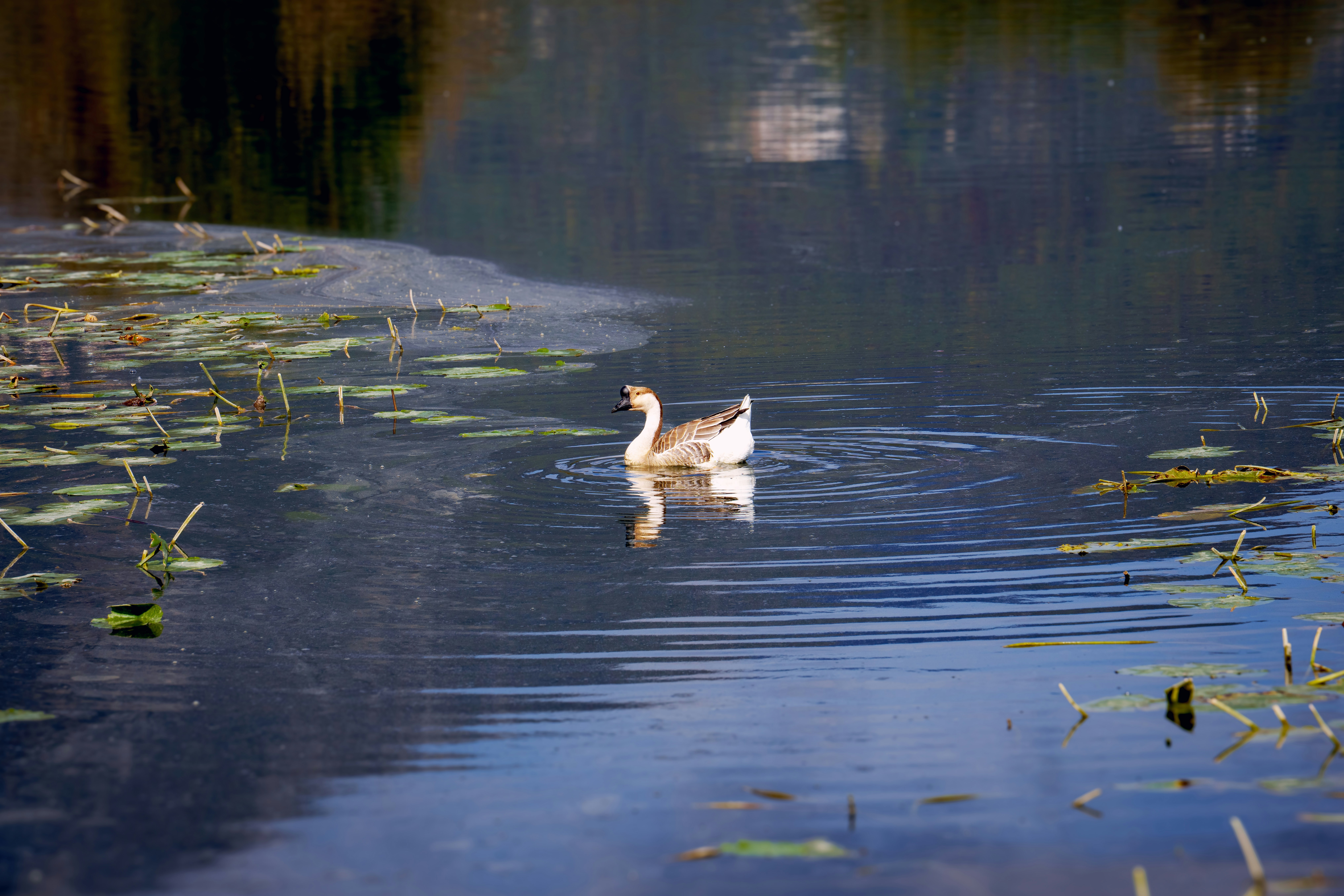 Photo by cristoforobonissone