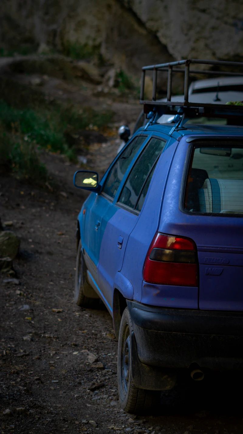 Thule roof bars for cars with rails
