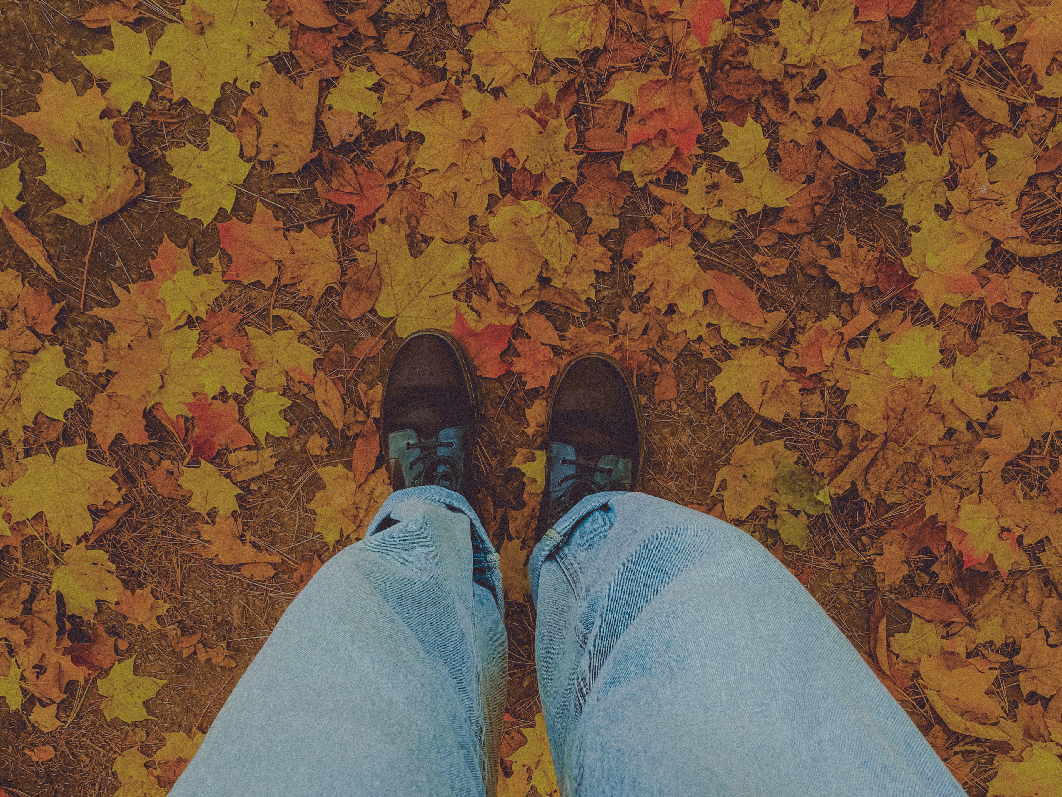 Photo by linusbelanger