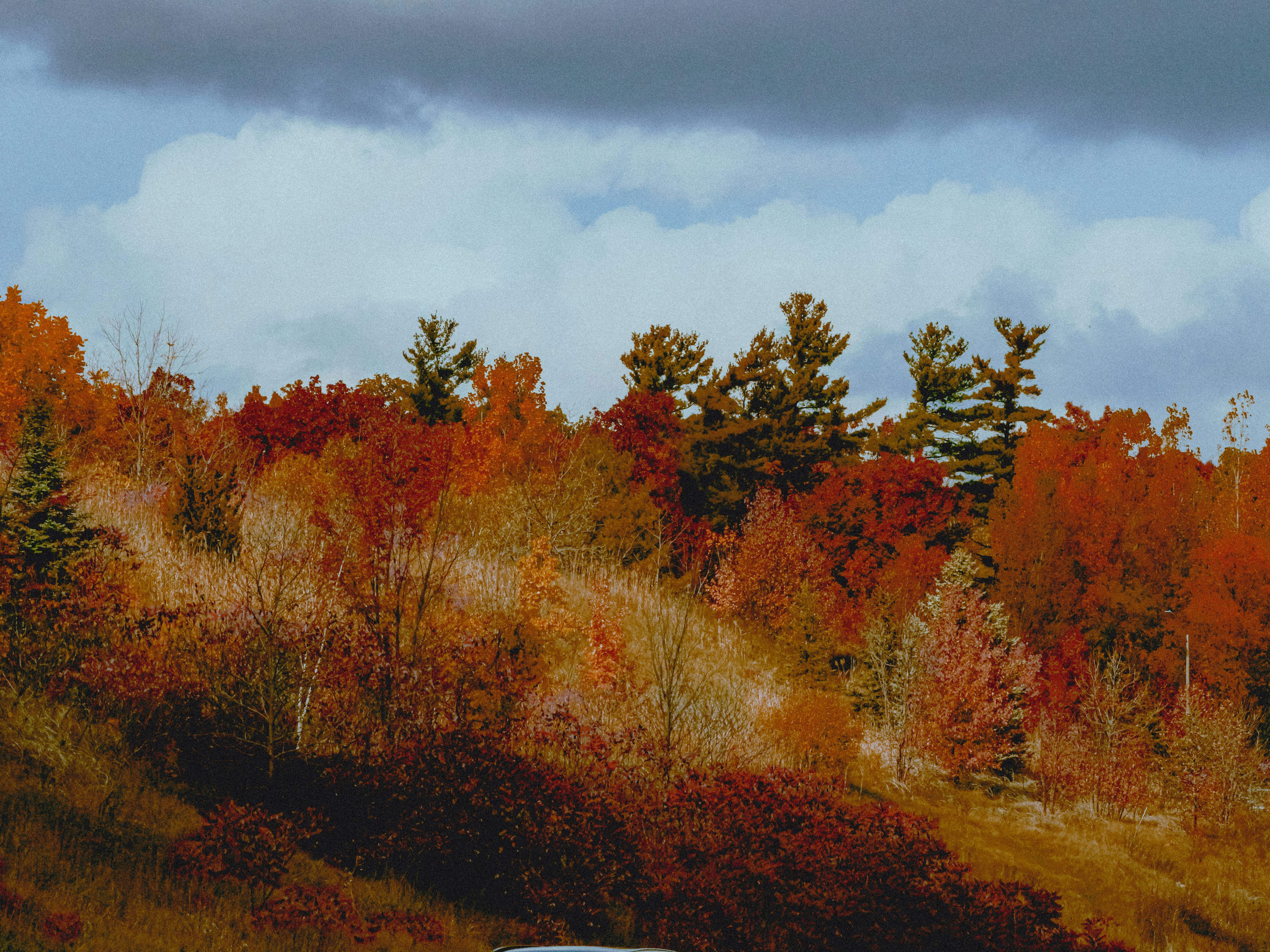 Photo by linusbelanger