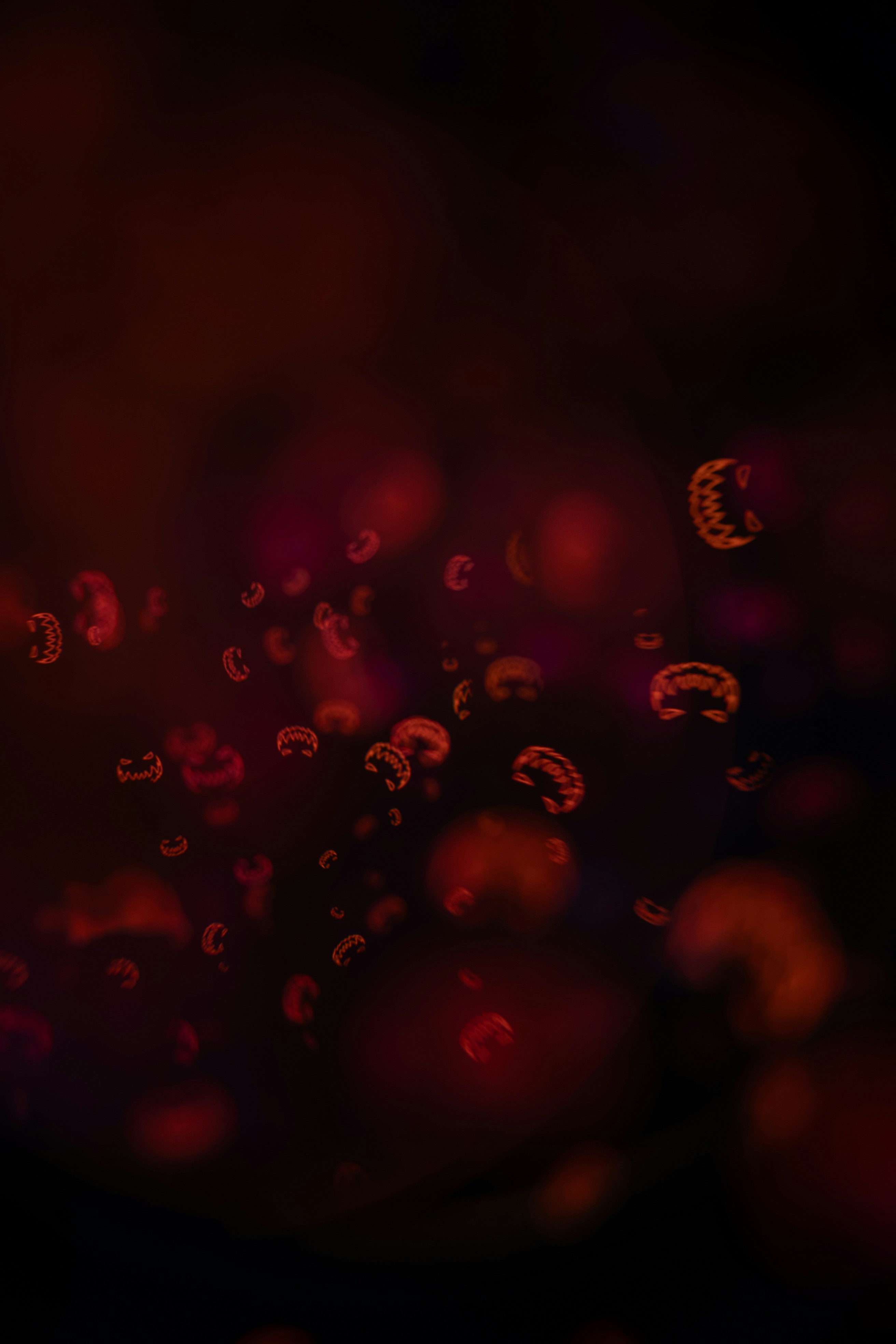 Photo by andrilliardbond