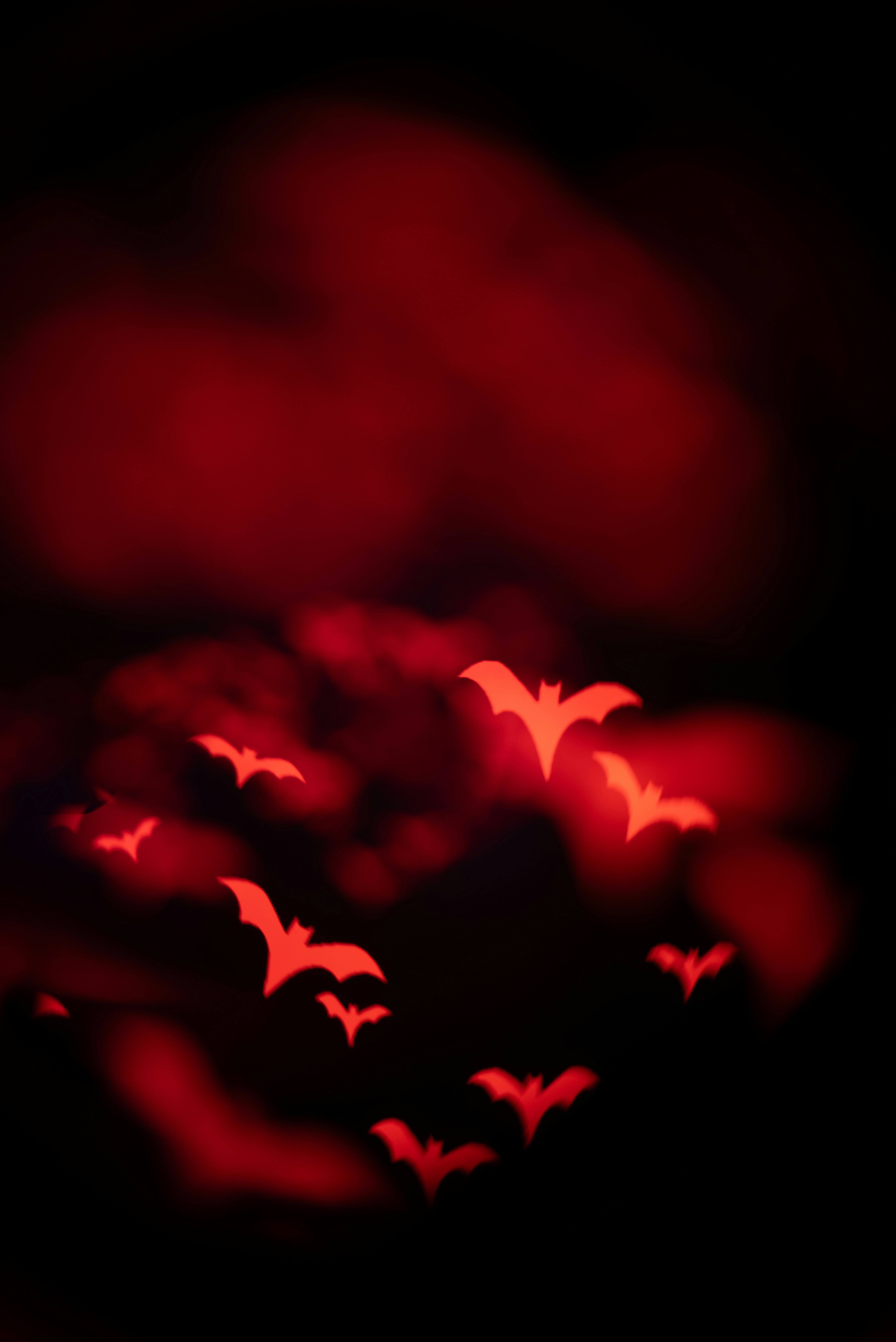 Photo by andrilliardbond