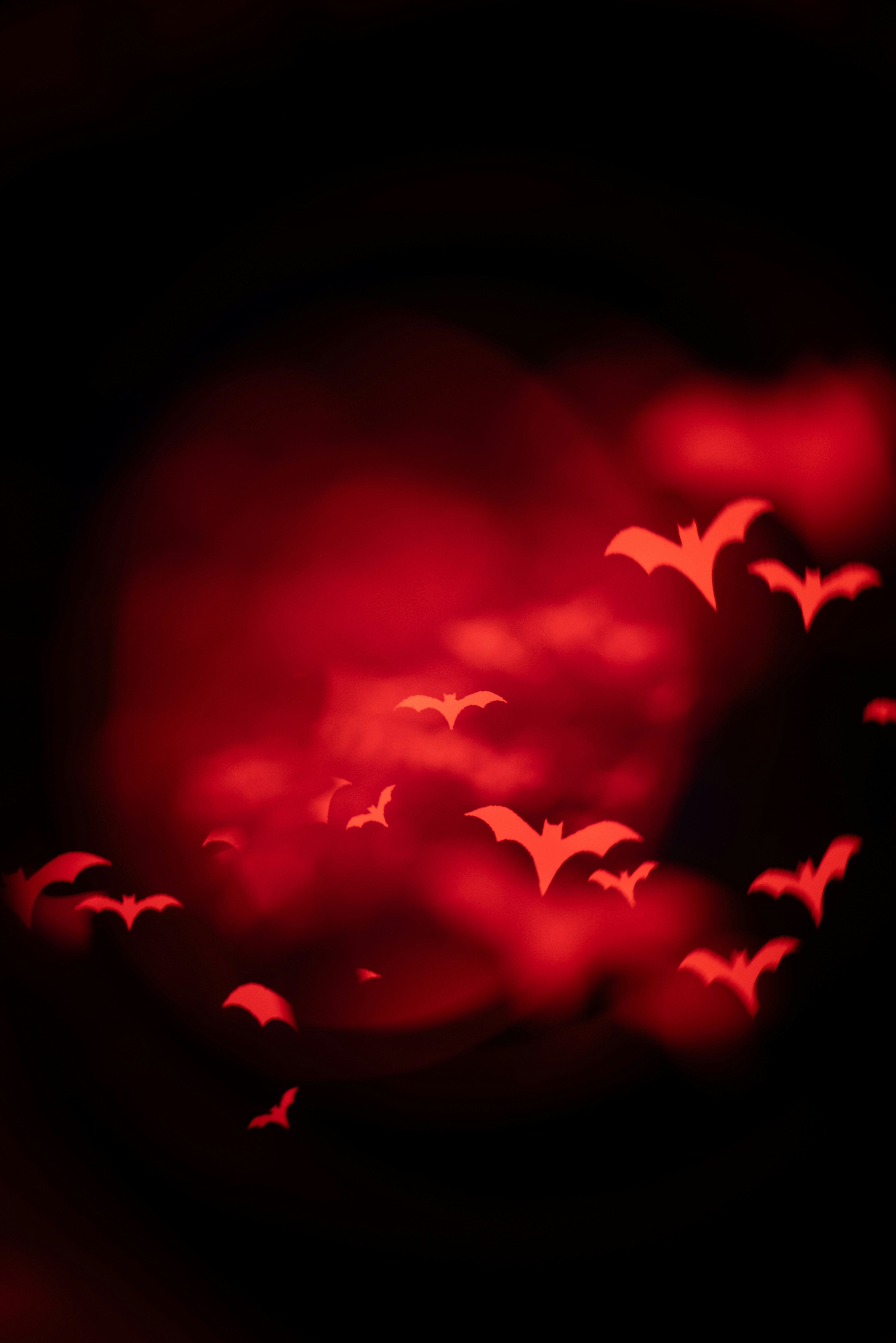 Photo by andrilliardbond