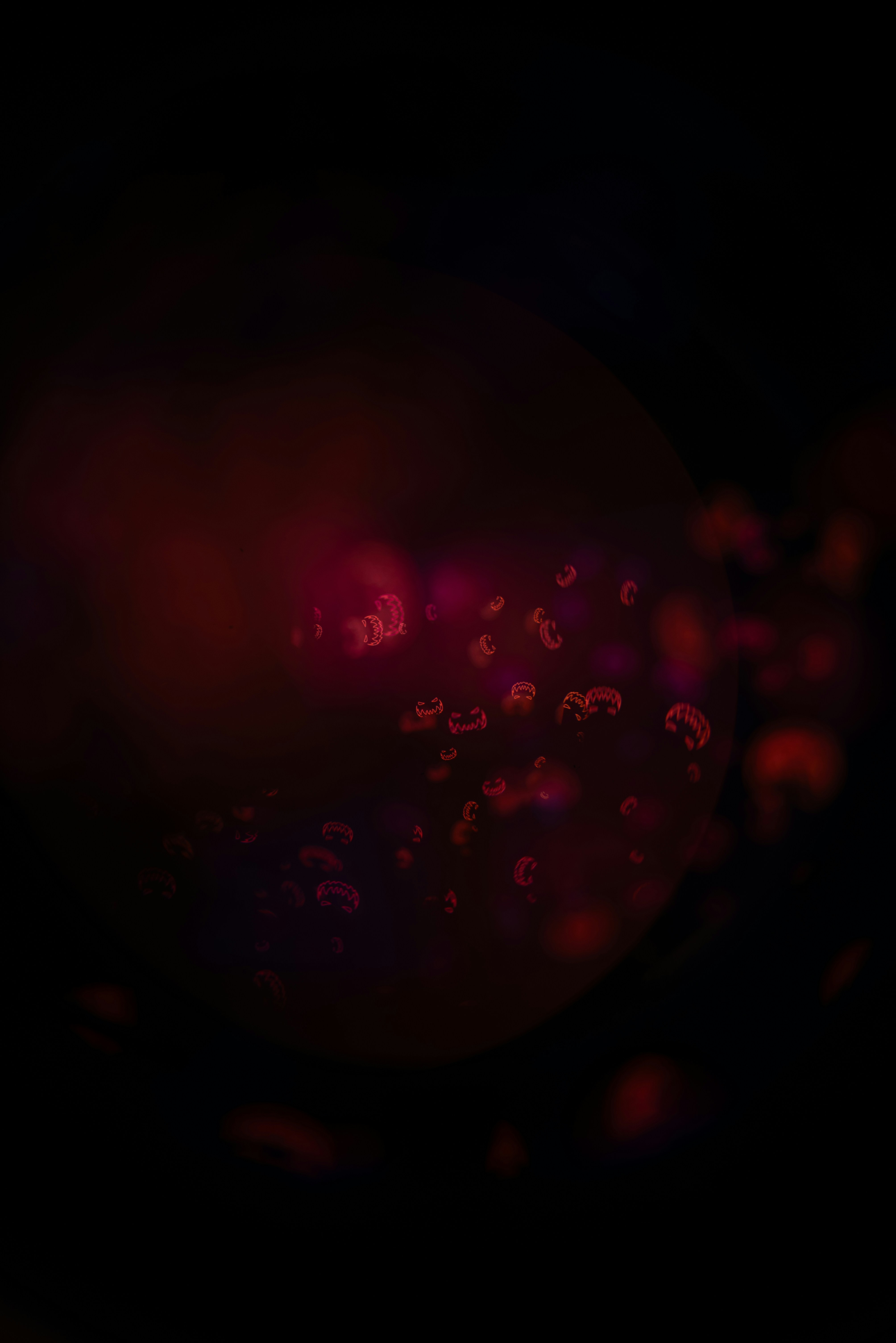 Photo by andrilliardbond