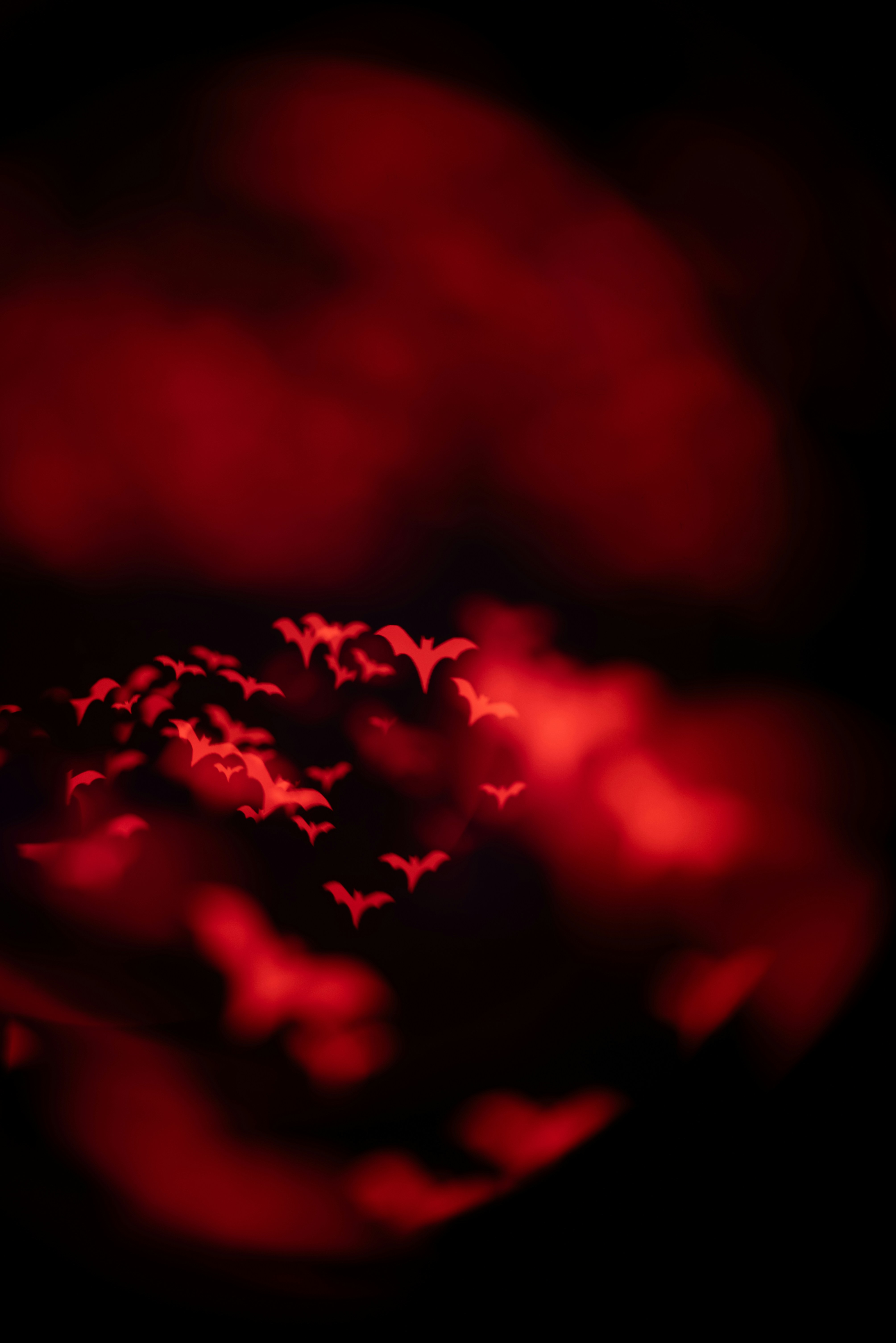 Photo by andrilliardbond