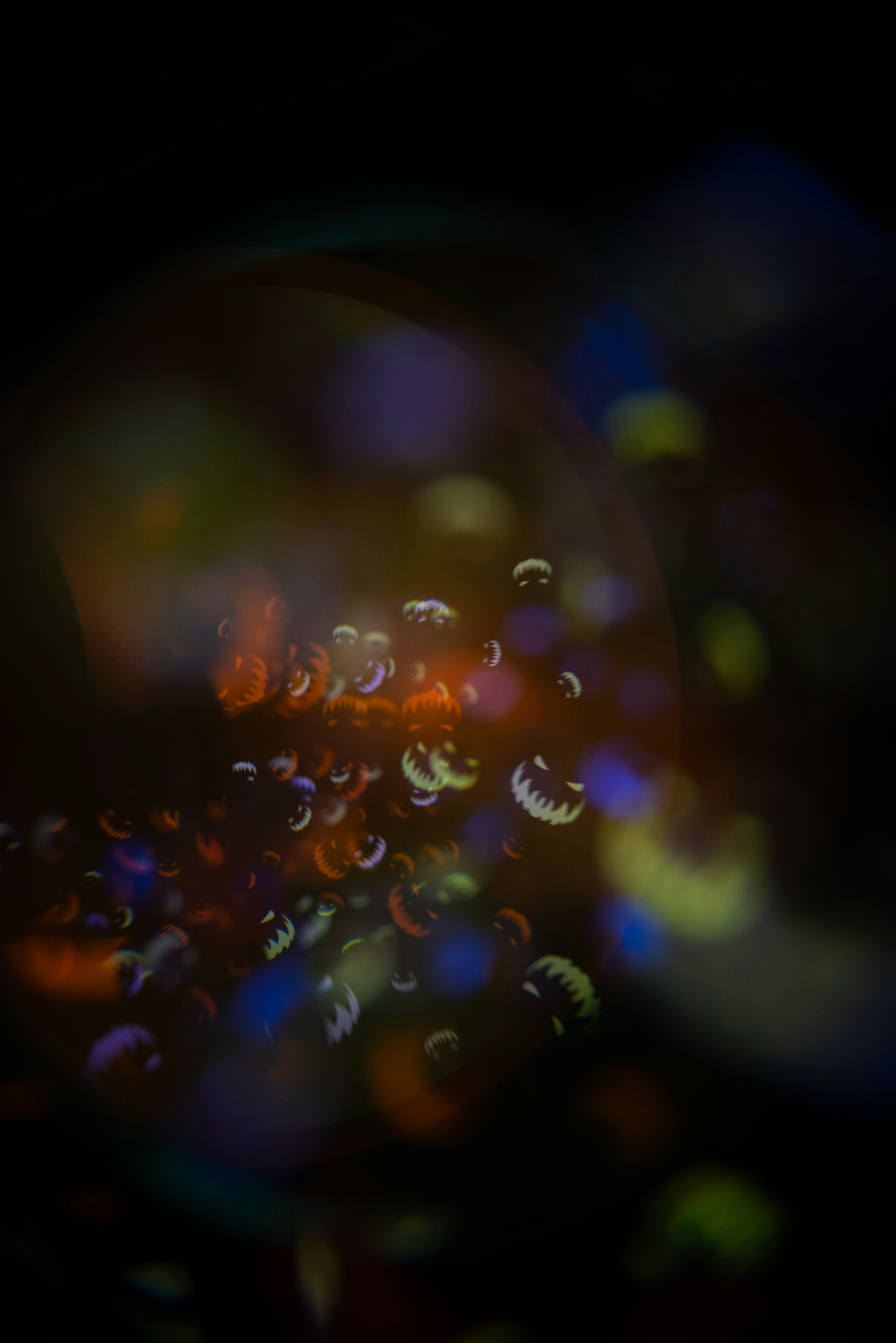 Photo by andrilliardbond