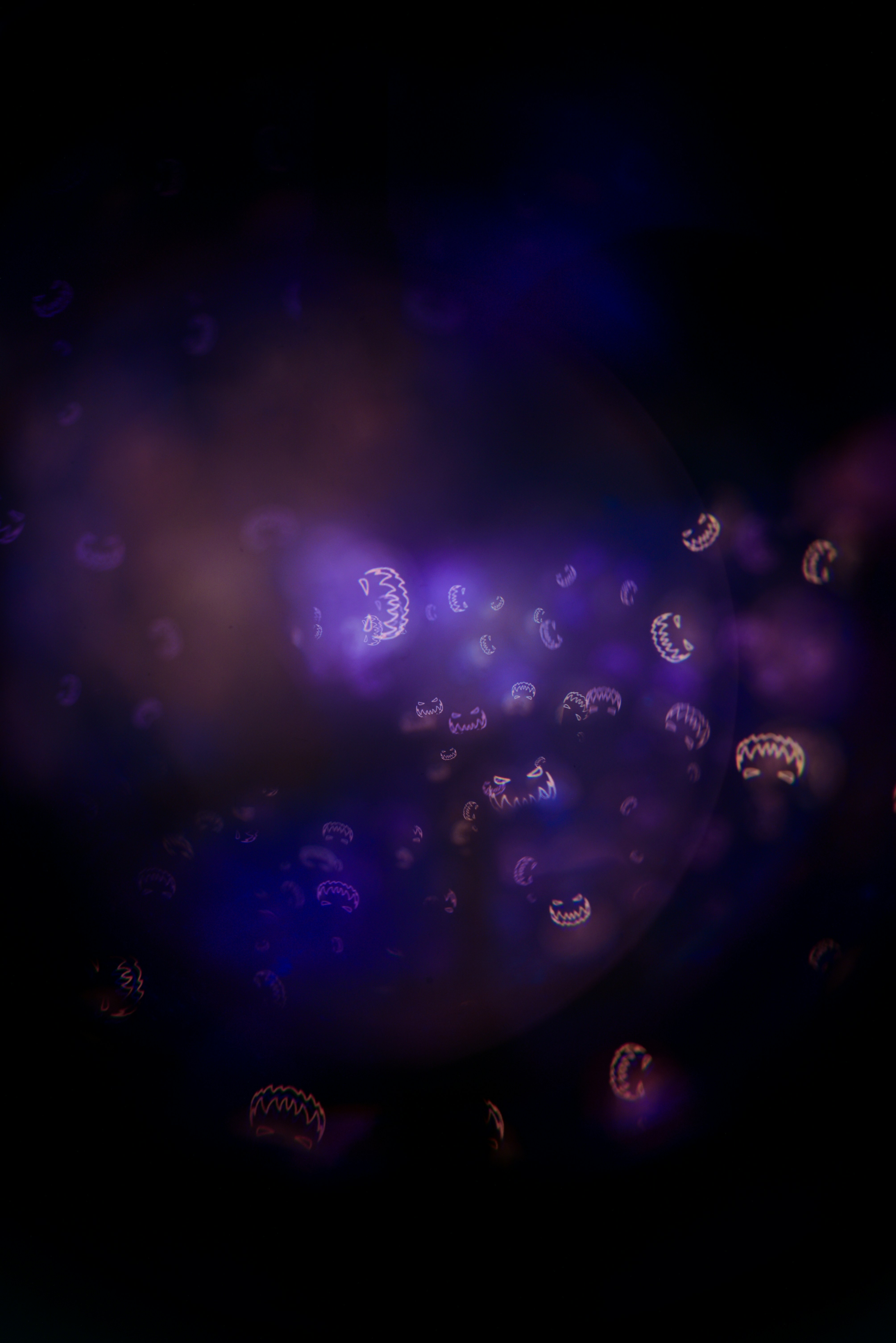 Photo by andrilliardbond