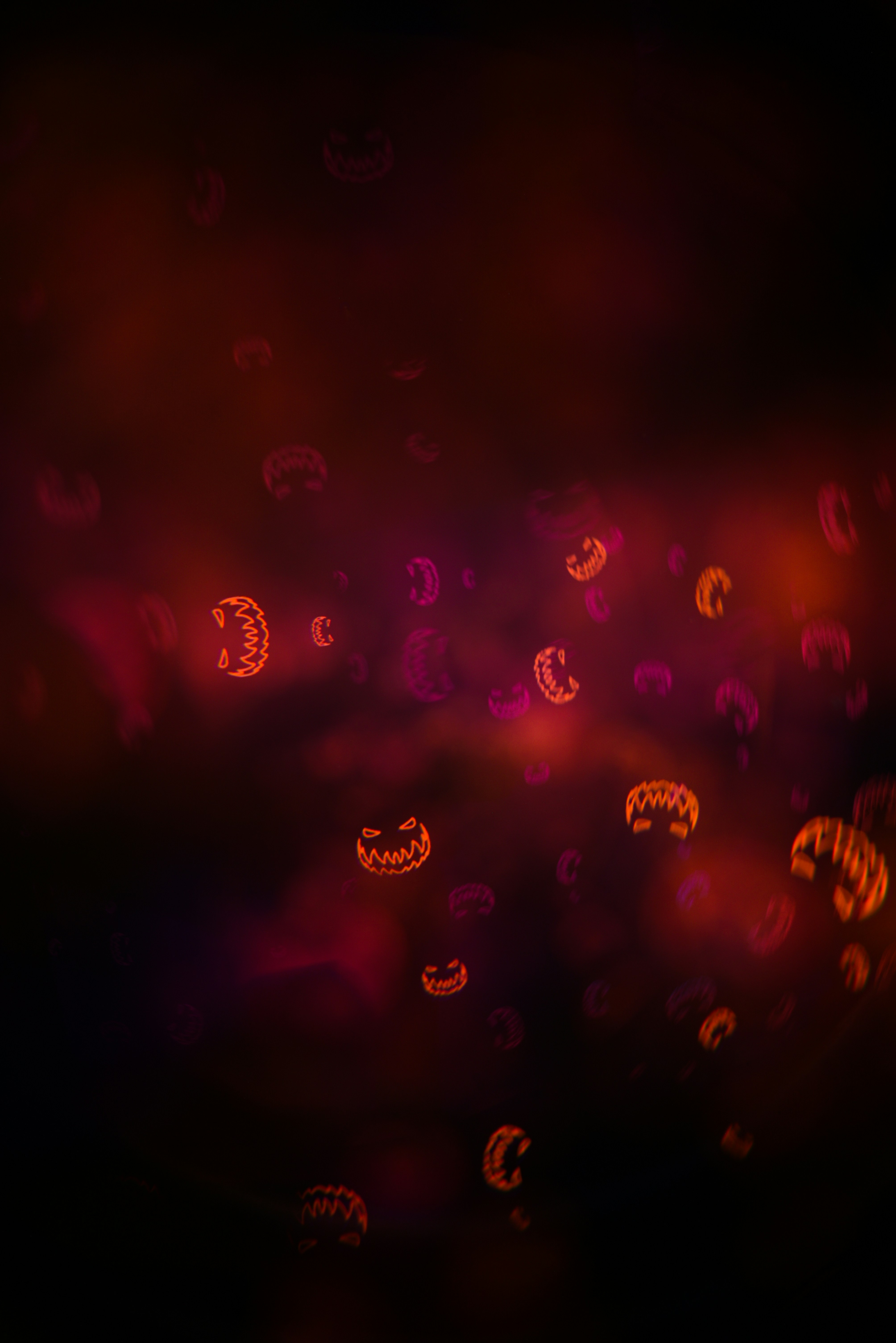 Photo by andrilliardbond