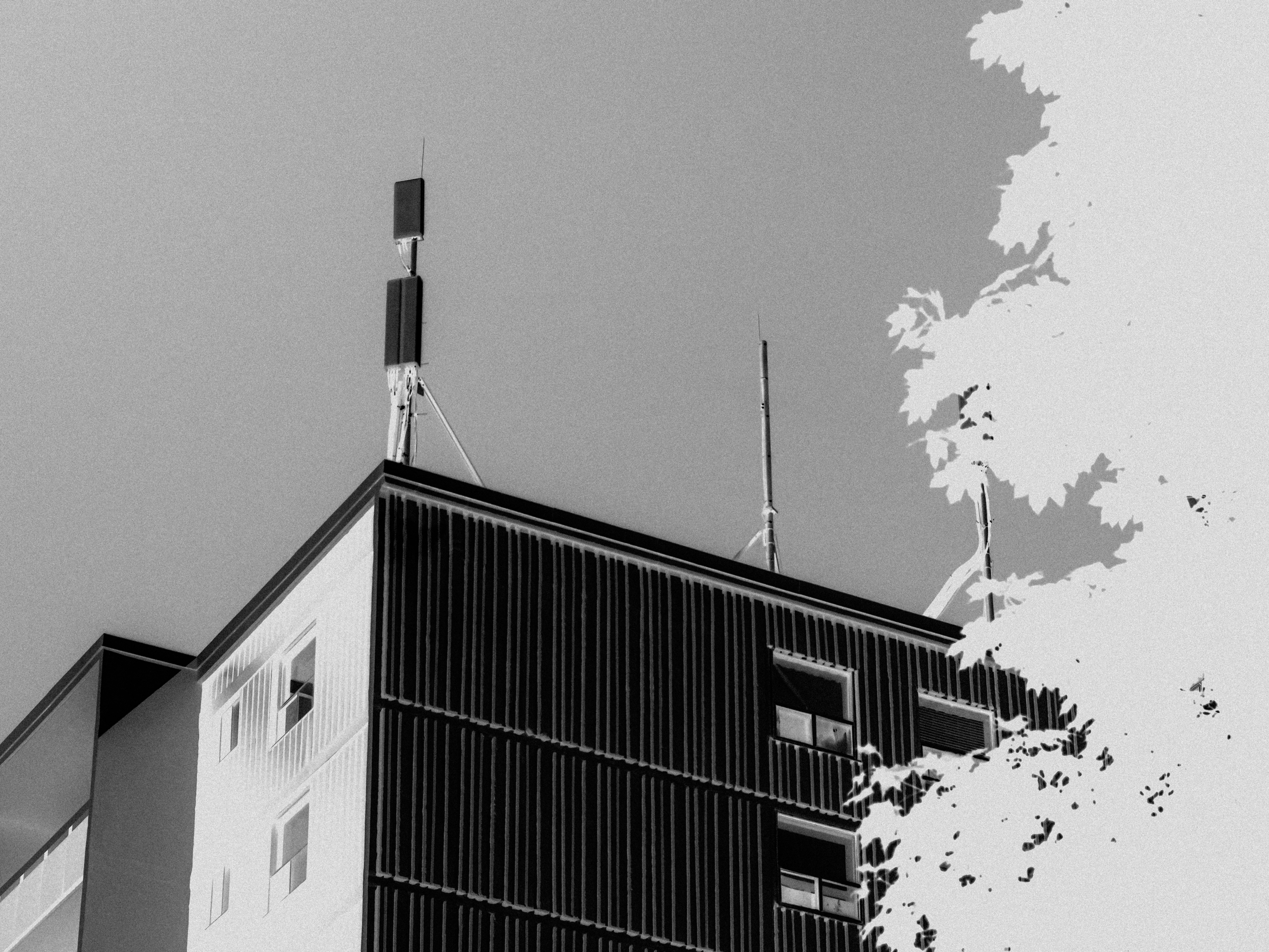 Windows 11 Home vs Pro : Quelle édition choisir pour votre PC ?