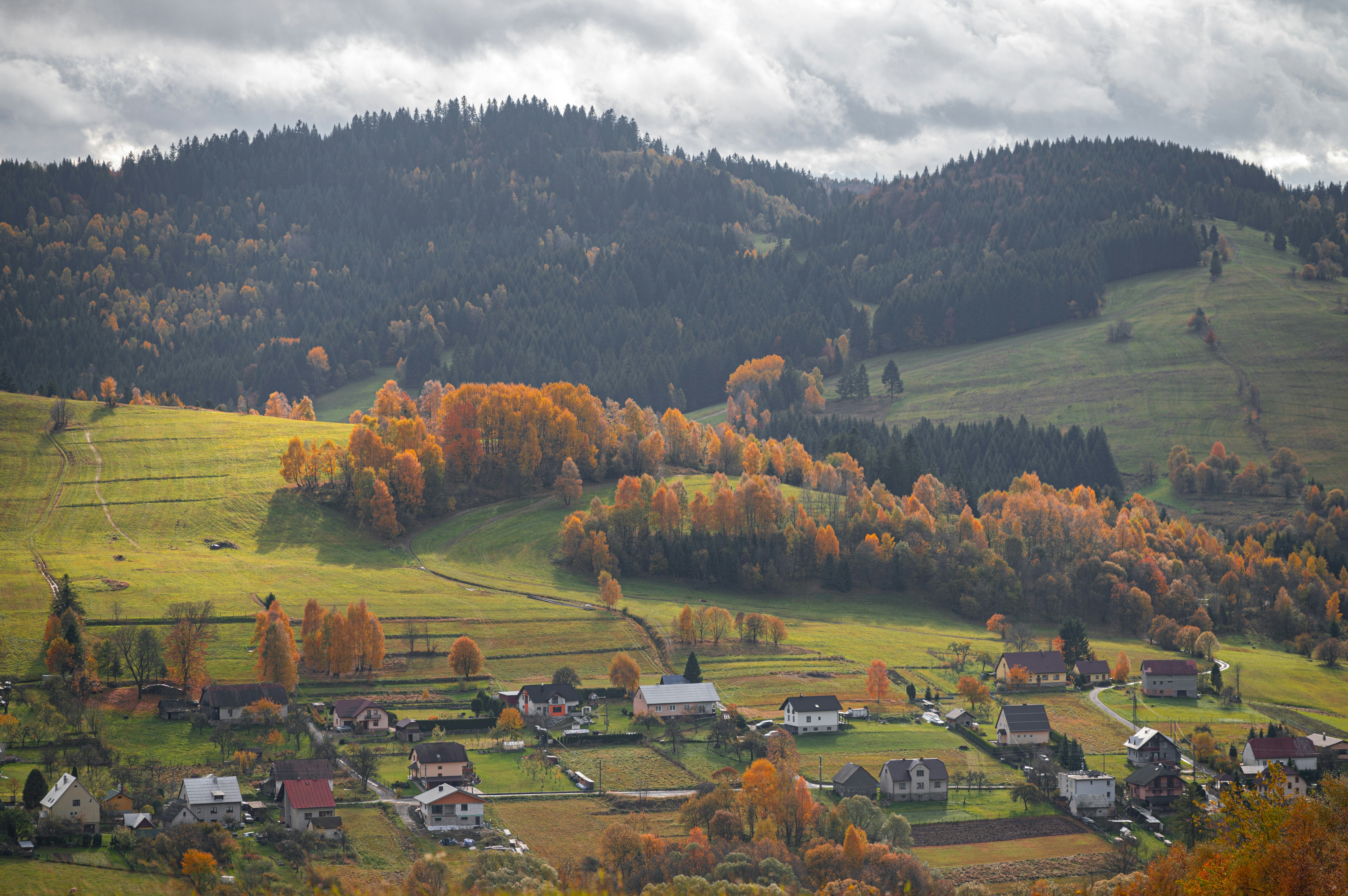 Photo by alexandra_p_d