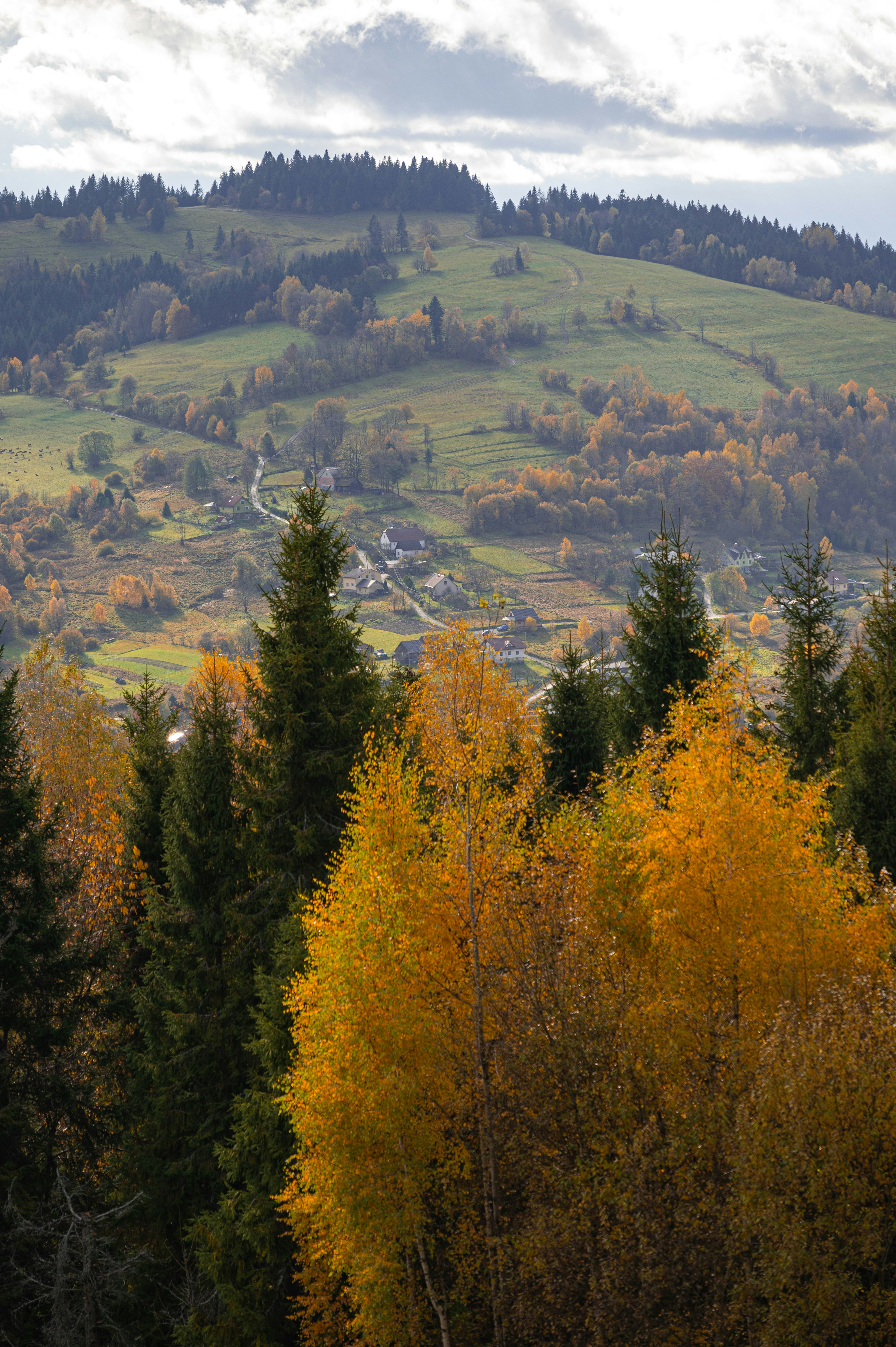 Photo by alexandra_p_d