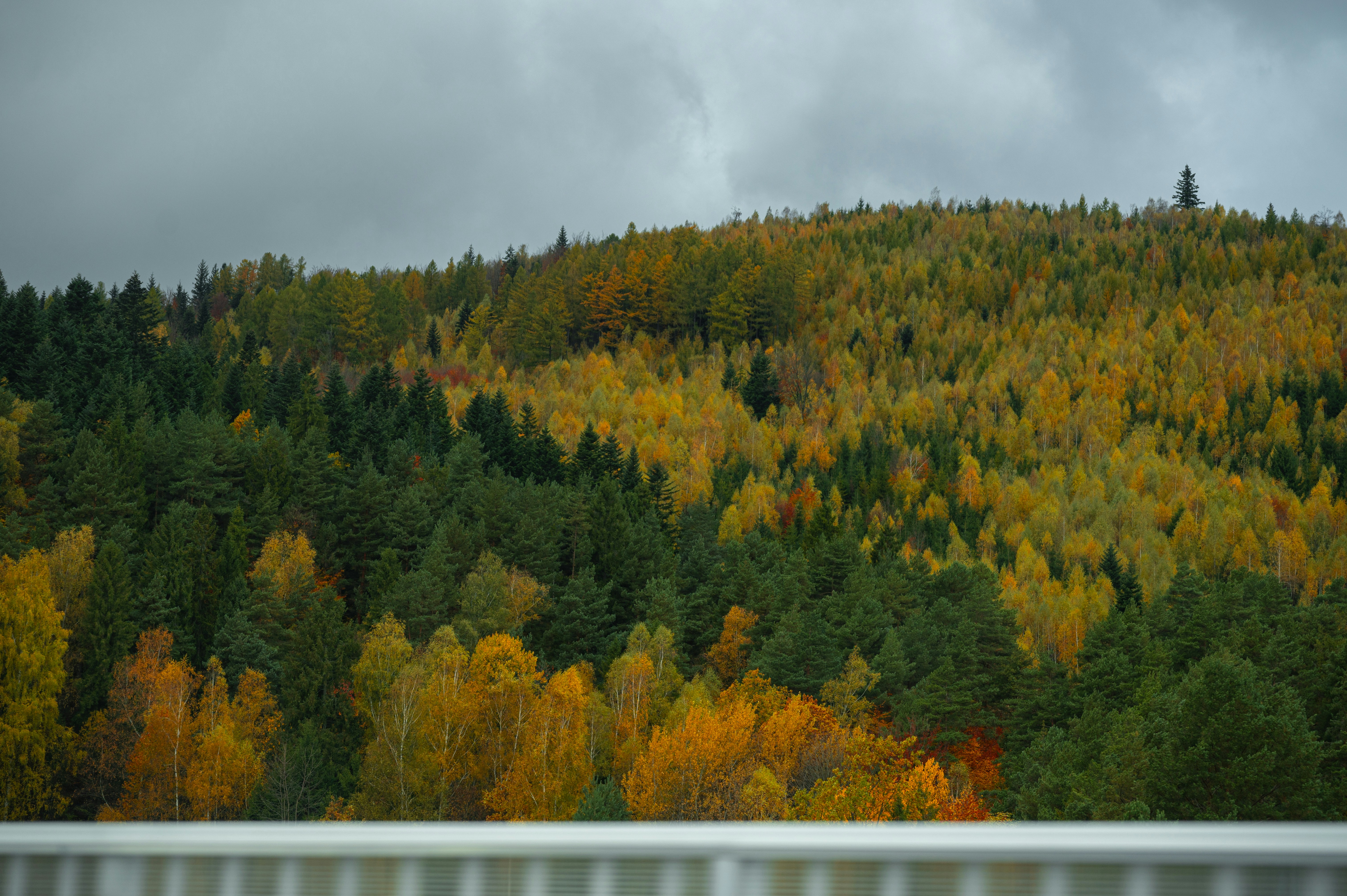 Photo by alexandra_p_d