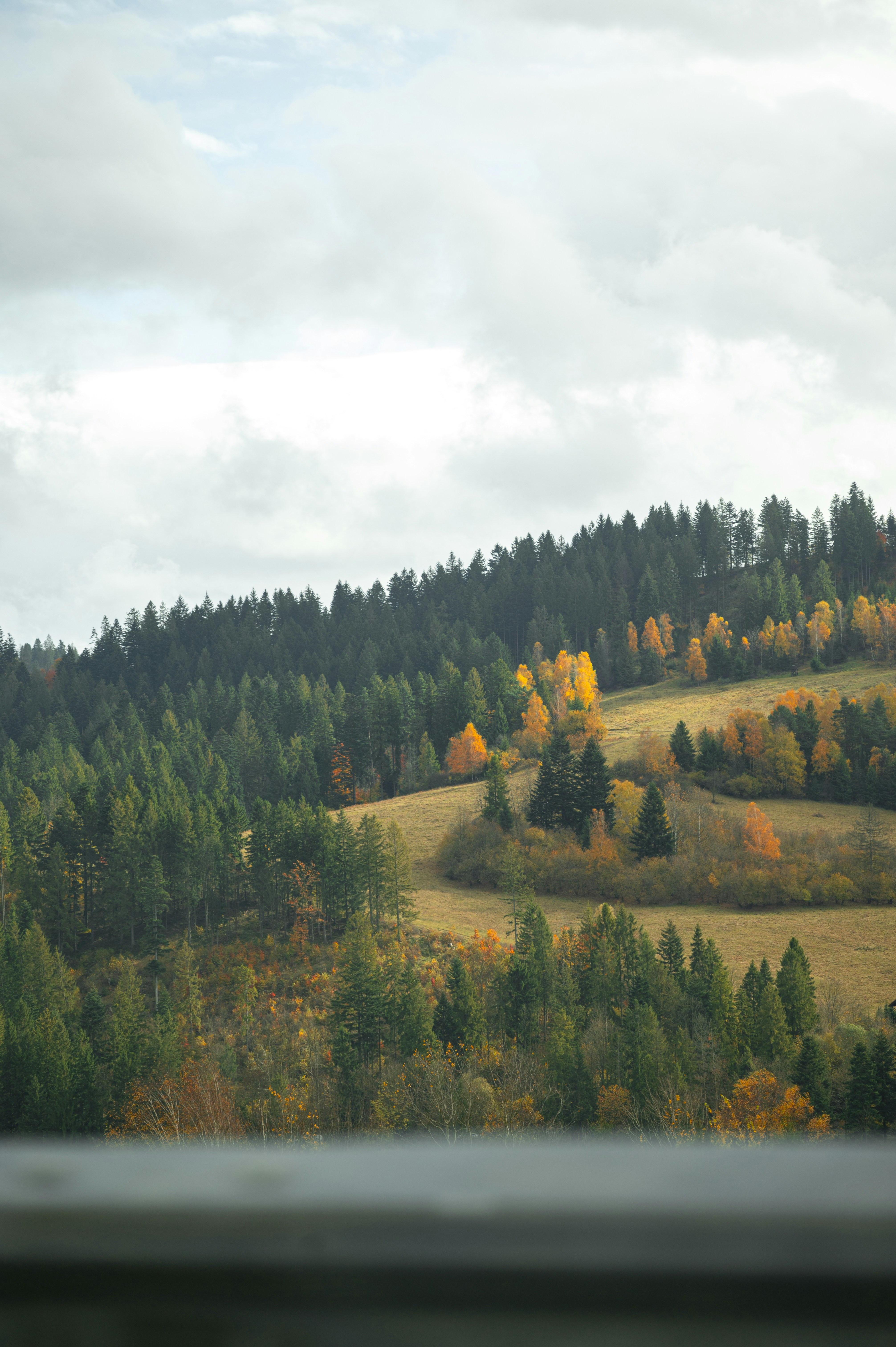 Photo by alexandra_p_d