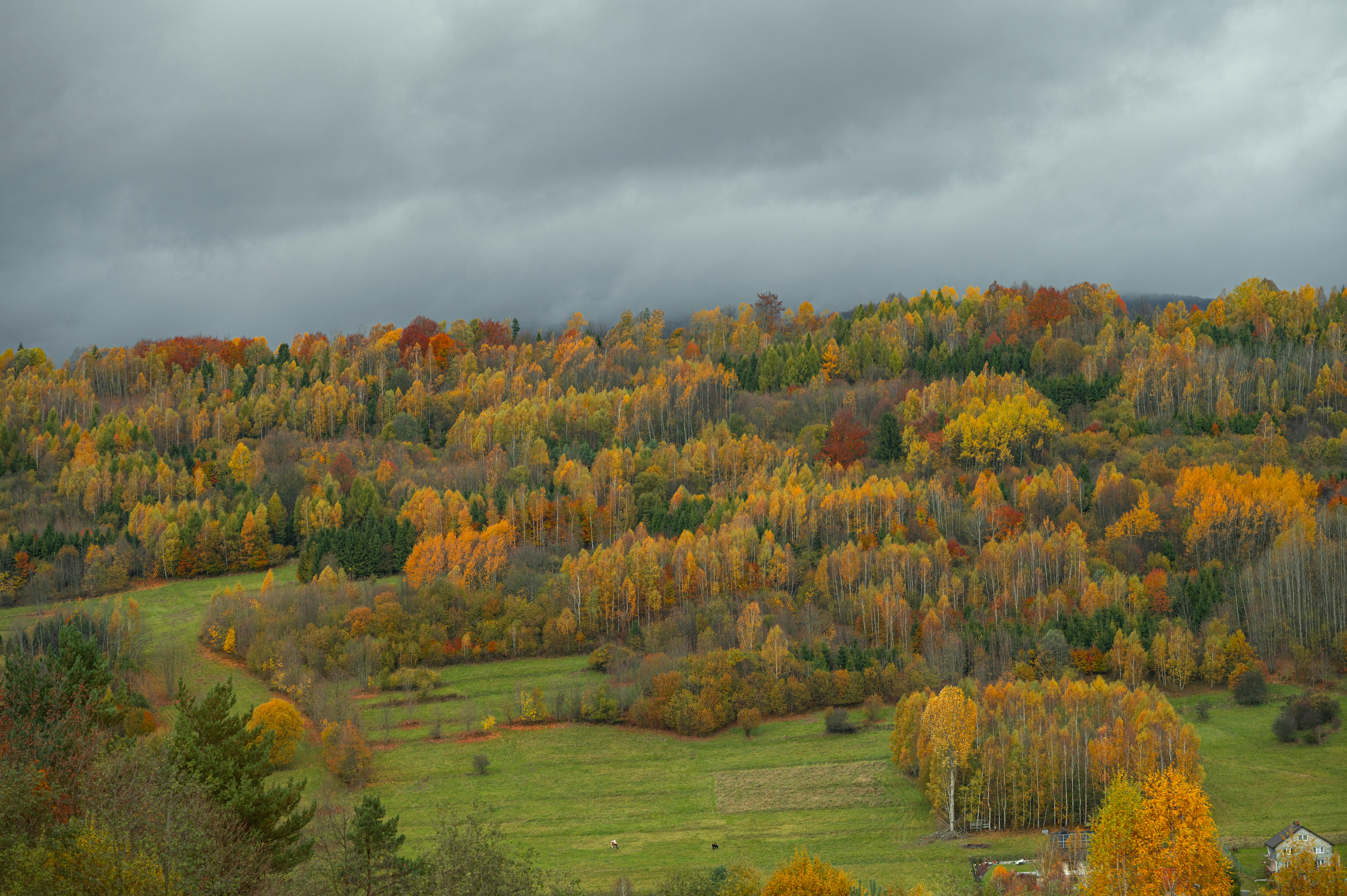 Photo by alexandra_p_d