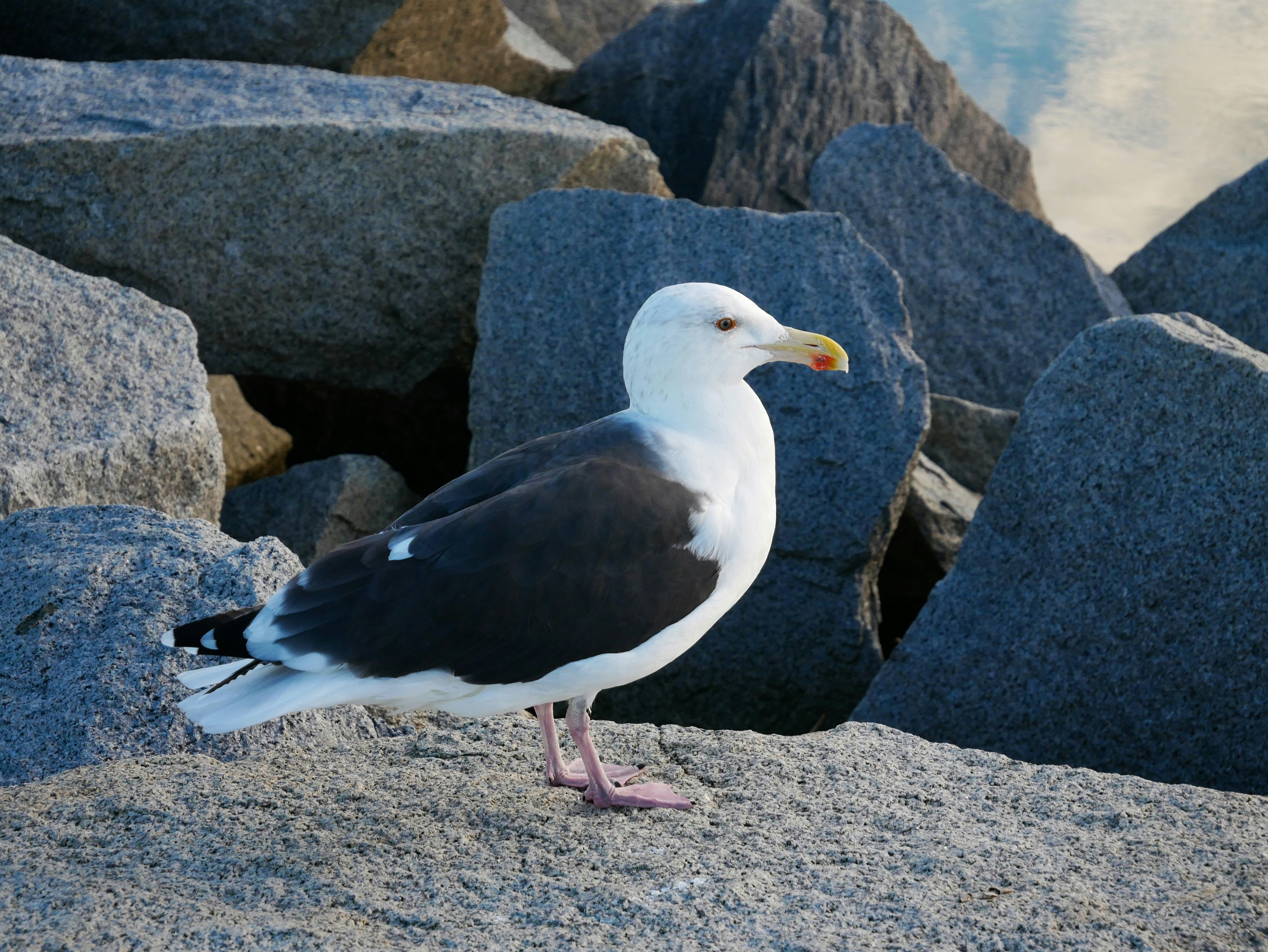 Photo by itsnotjacie