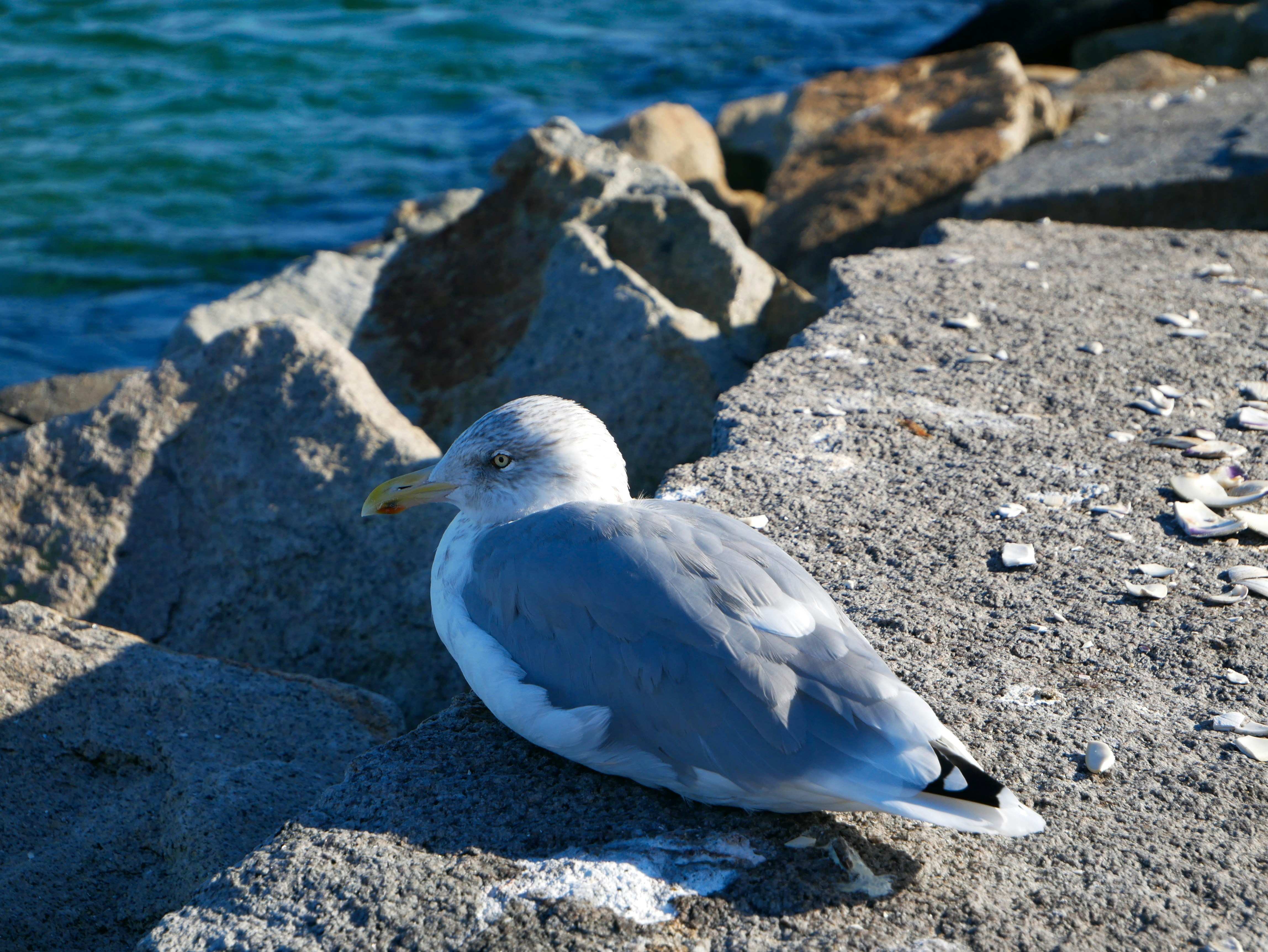 Photo by itsnotjacie