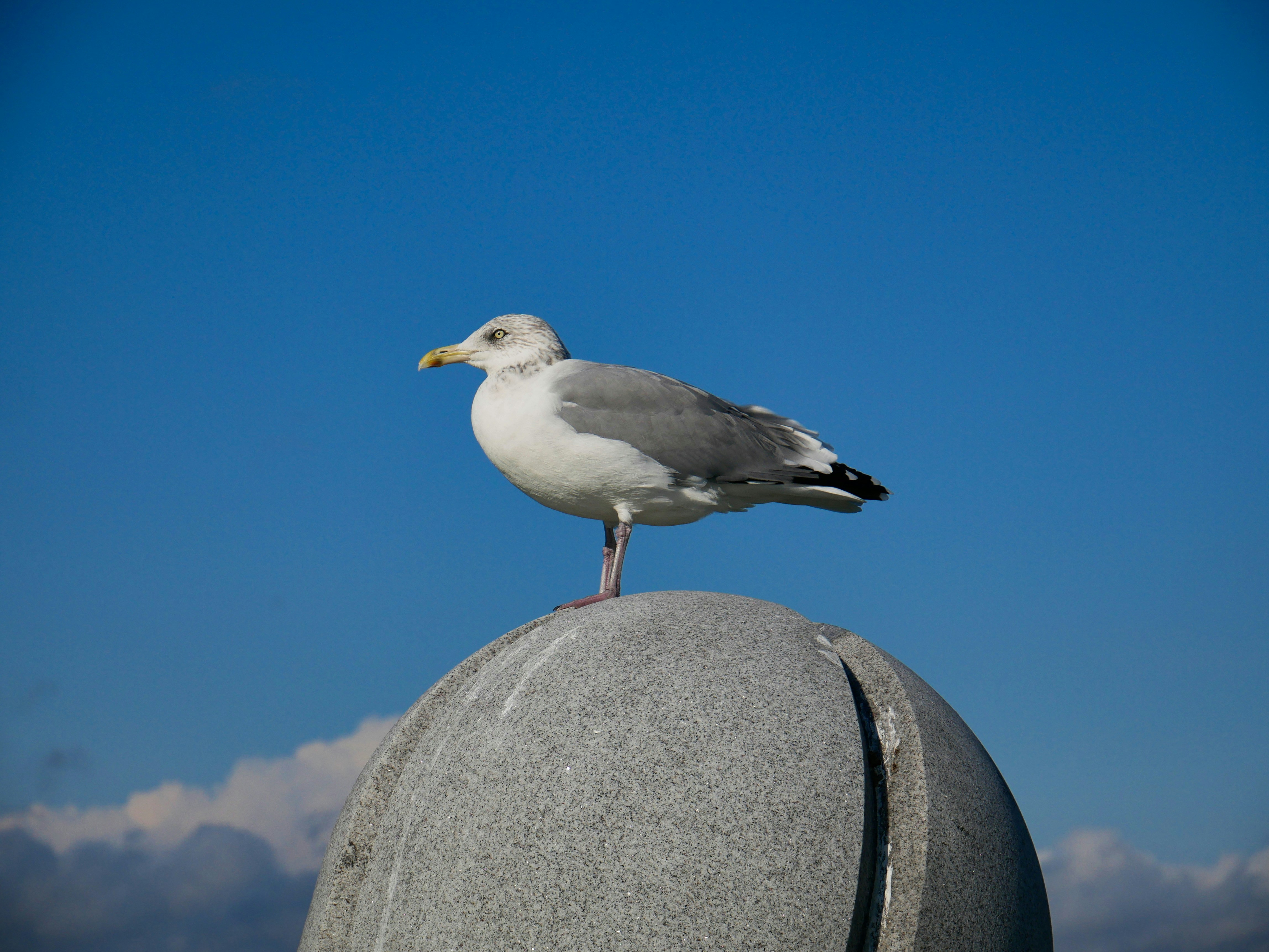 Photo by itsnotjacie