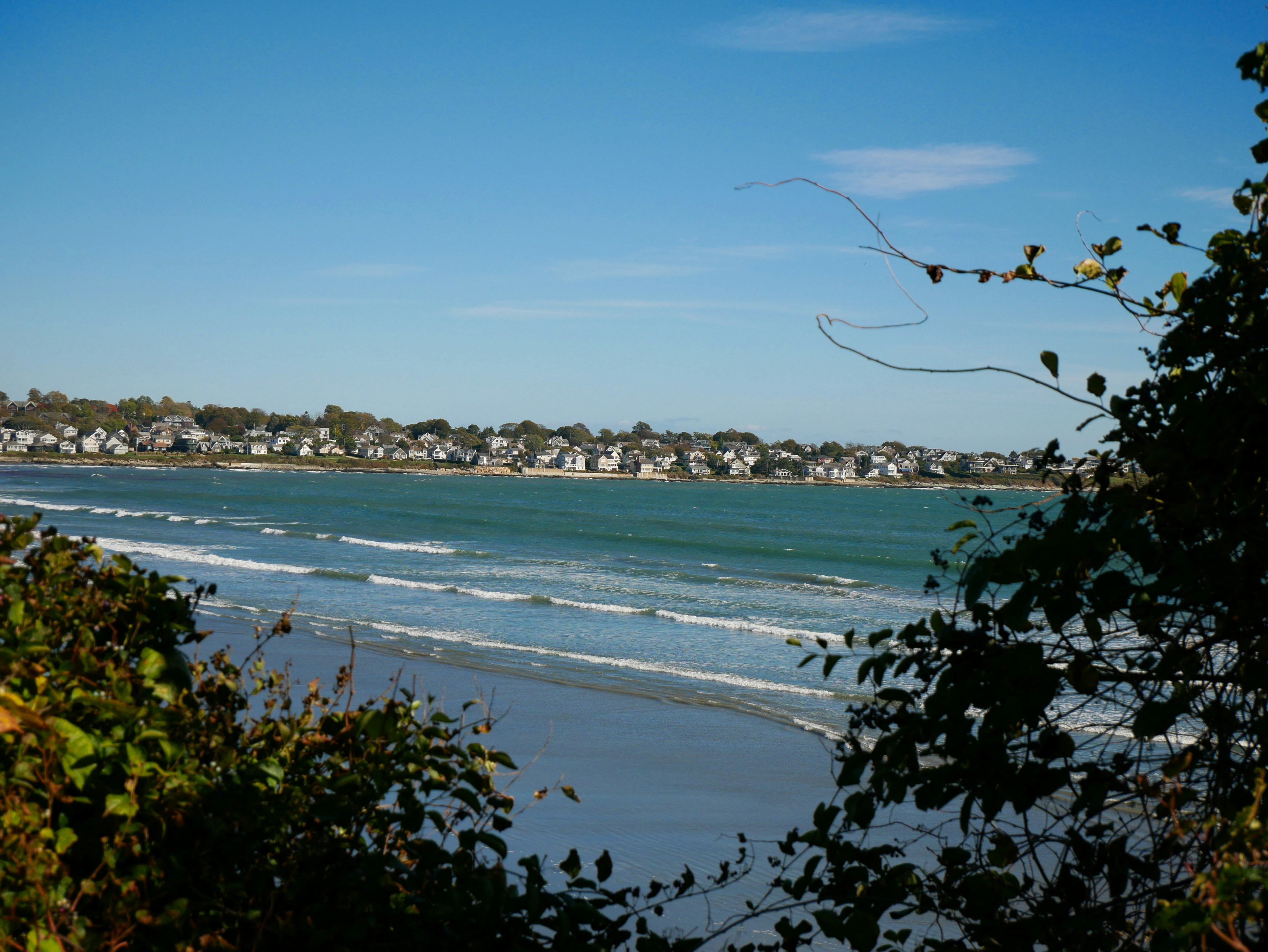Coastal town with ocean waves and foliage.