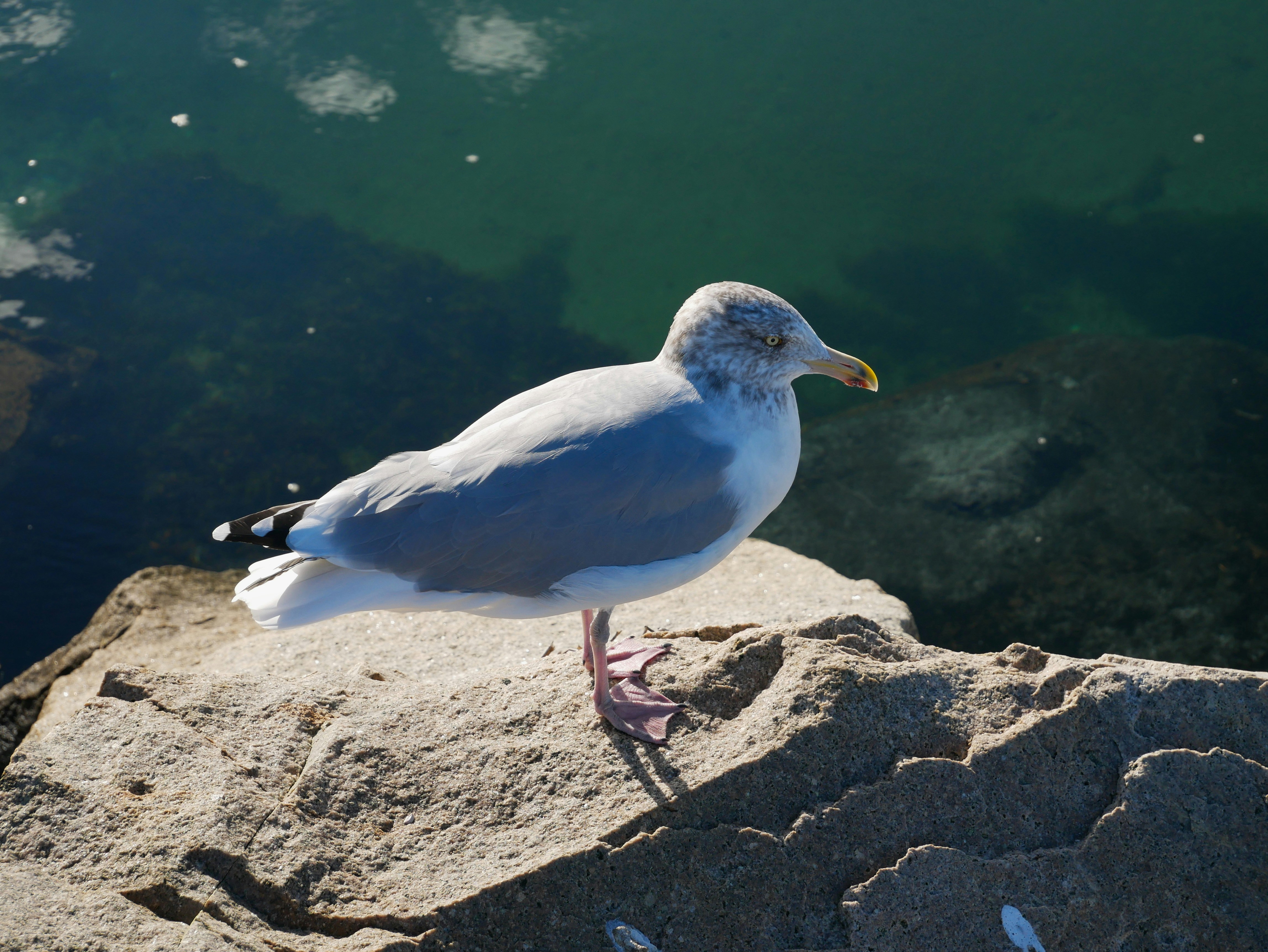 Photo by itsnotjacie