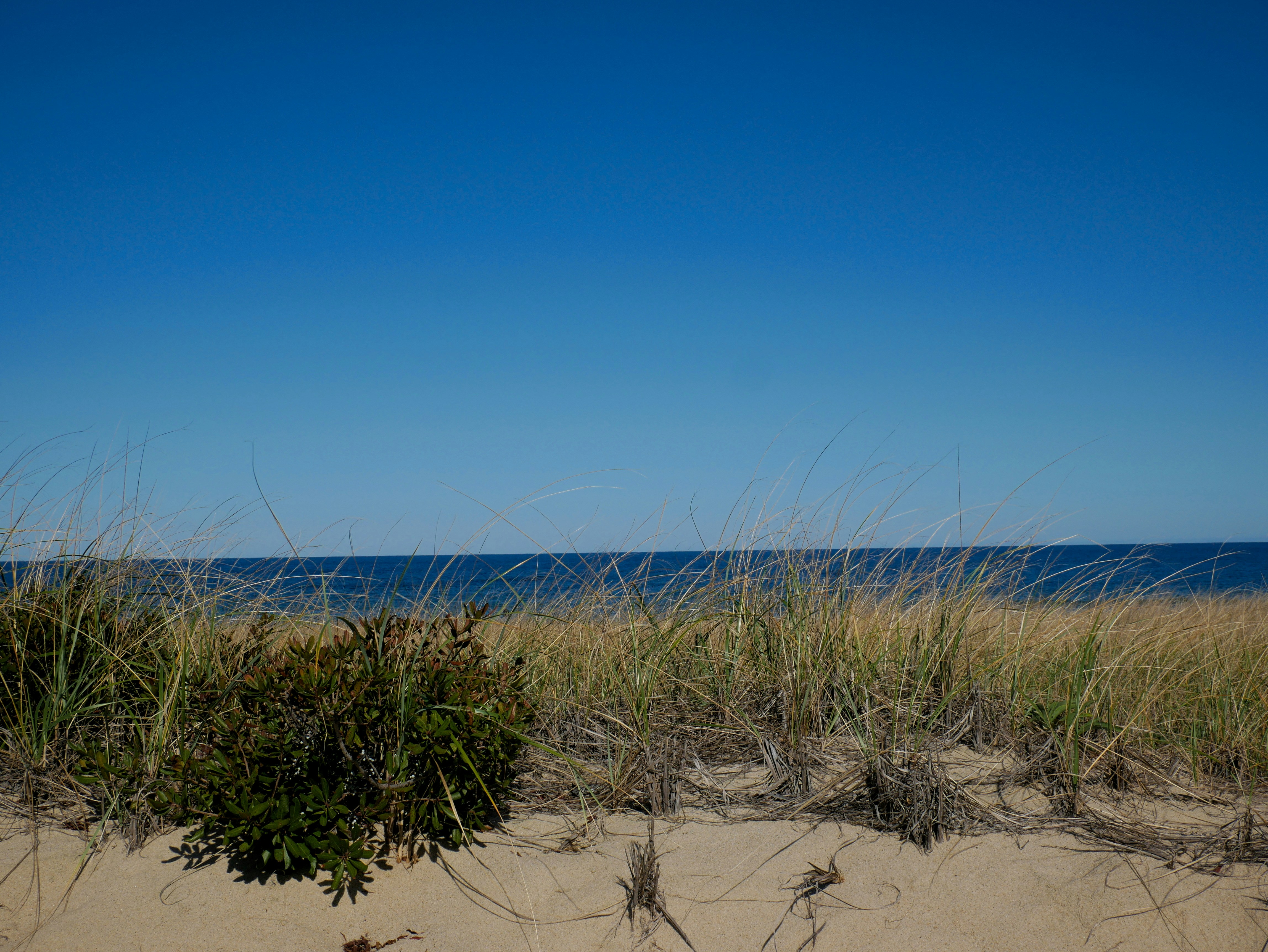 Photo by itsnotjacie