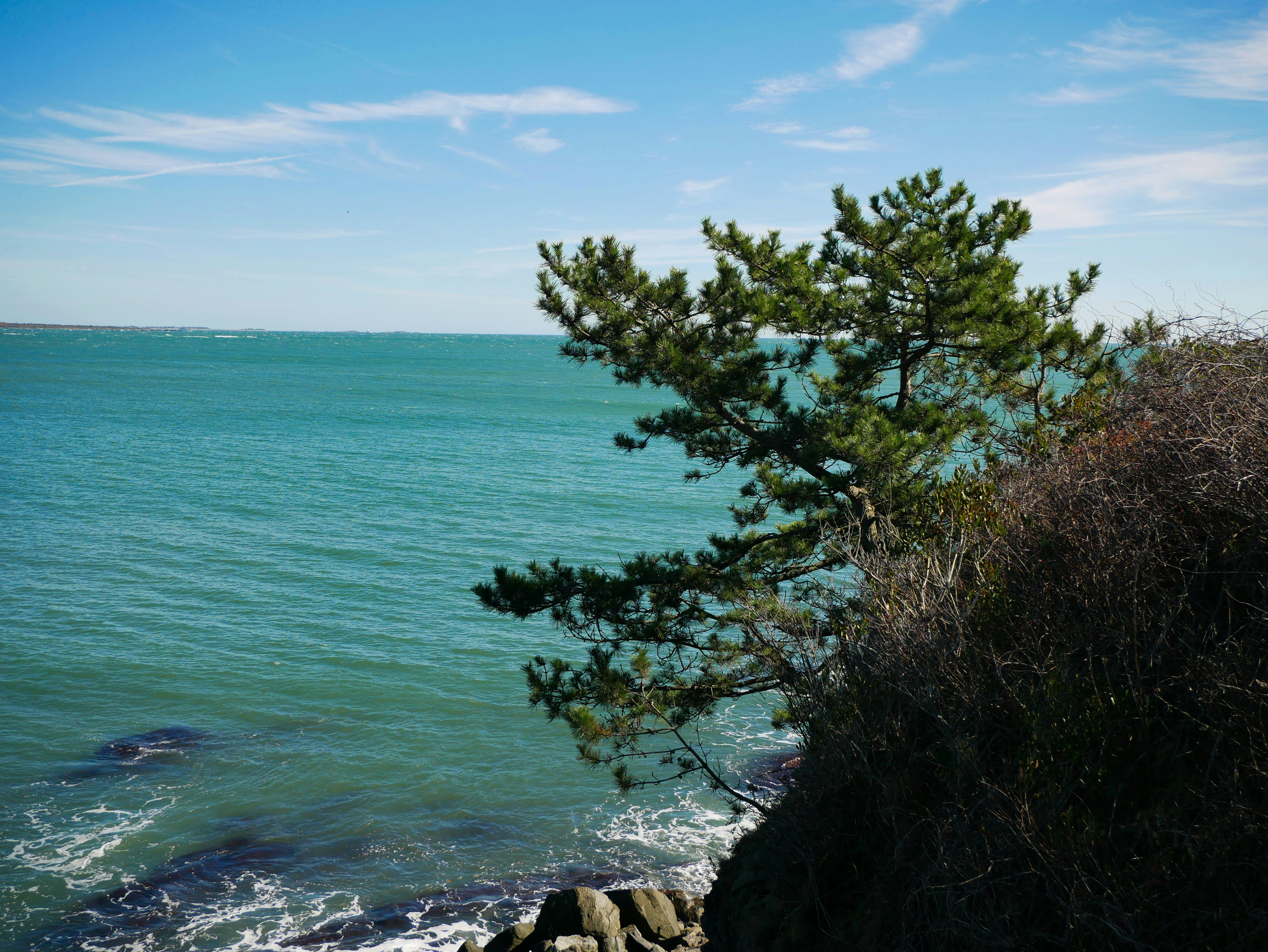 Photo by itsnotjacie