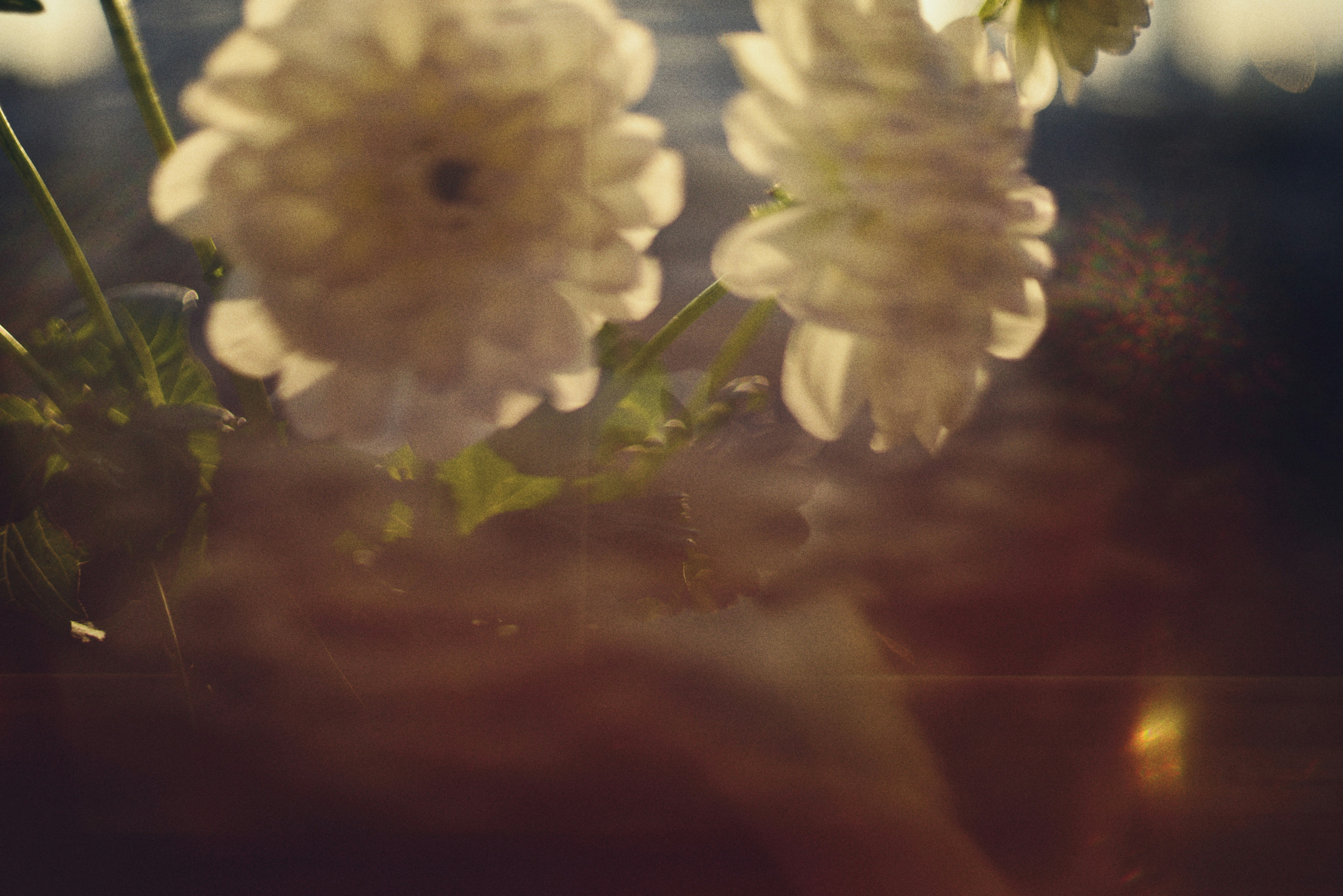 Photo by cherstve_pechivo