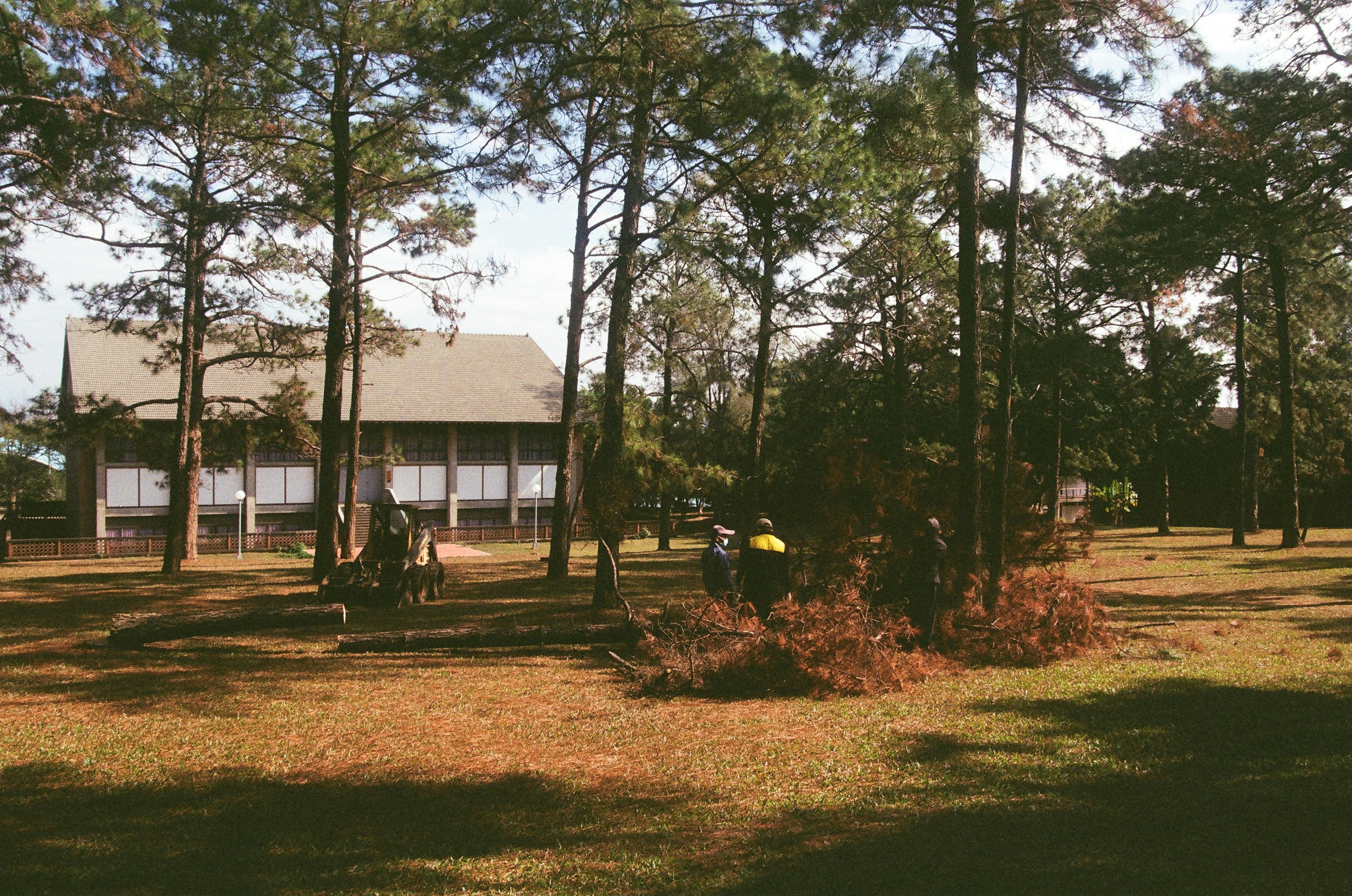 Building and people in a wooded area