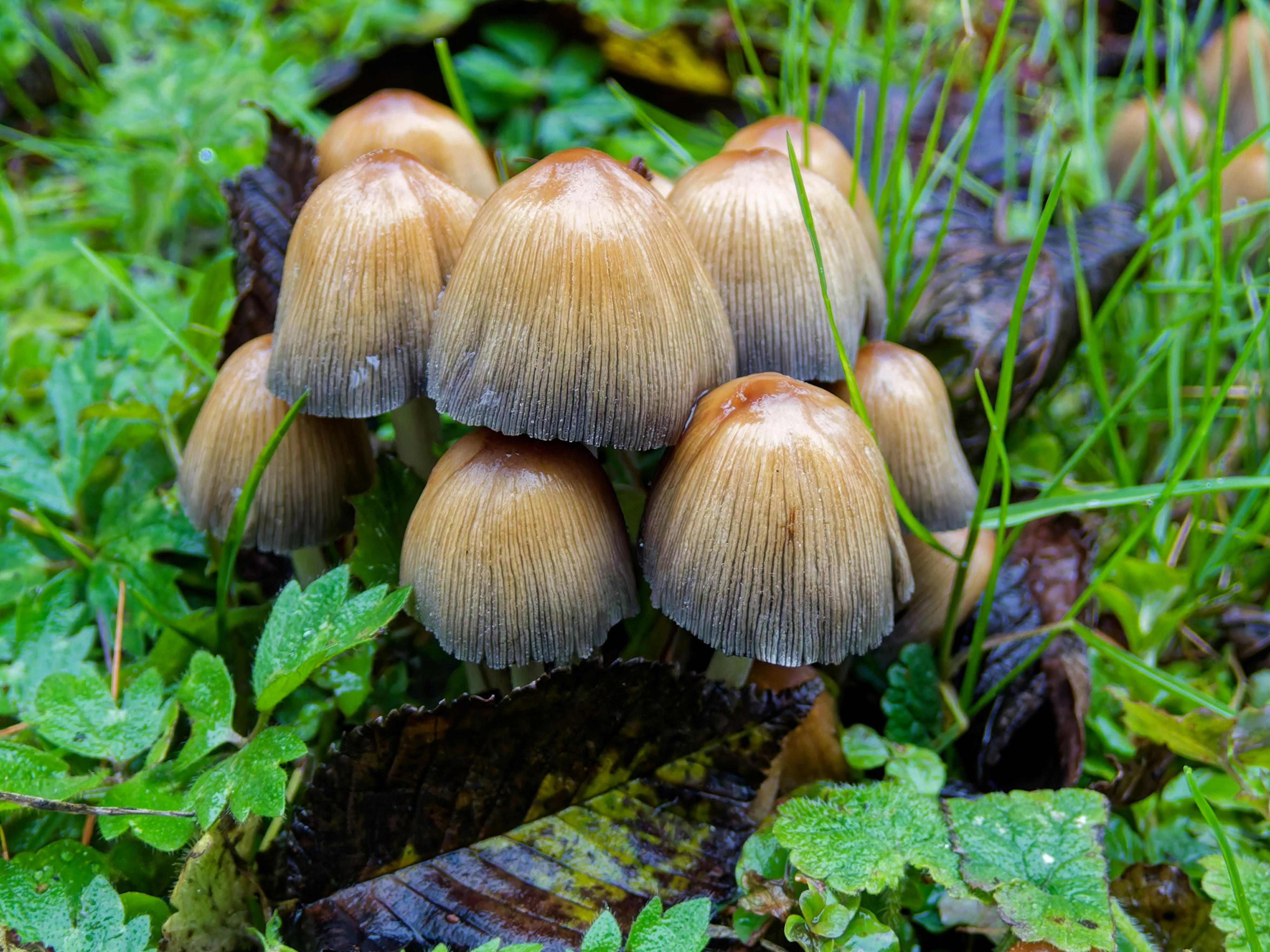 Photo by schneiderhenry