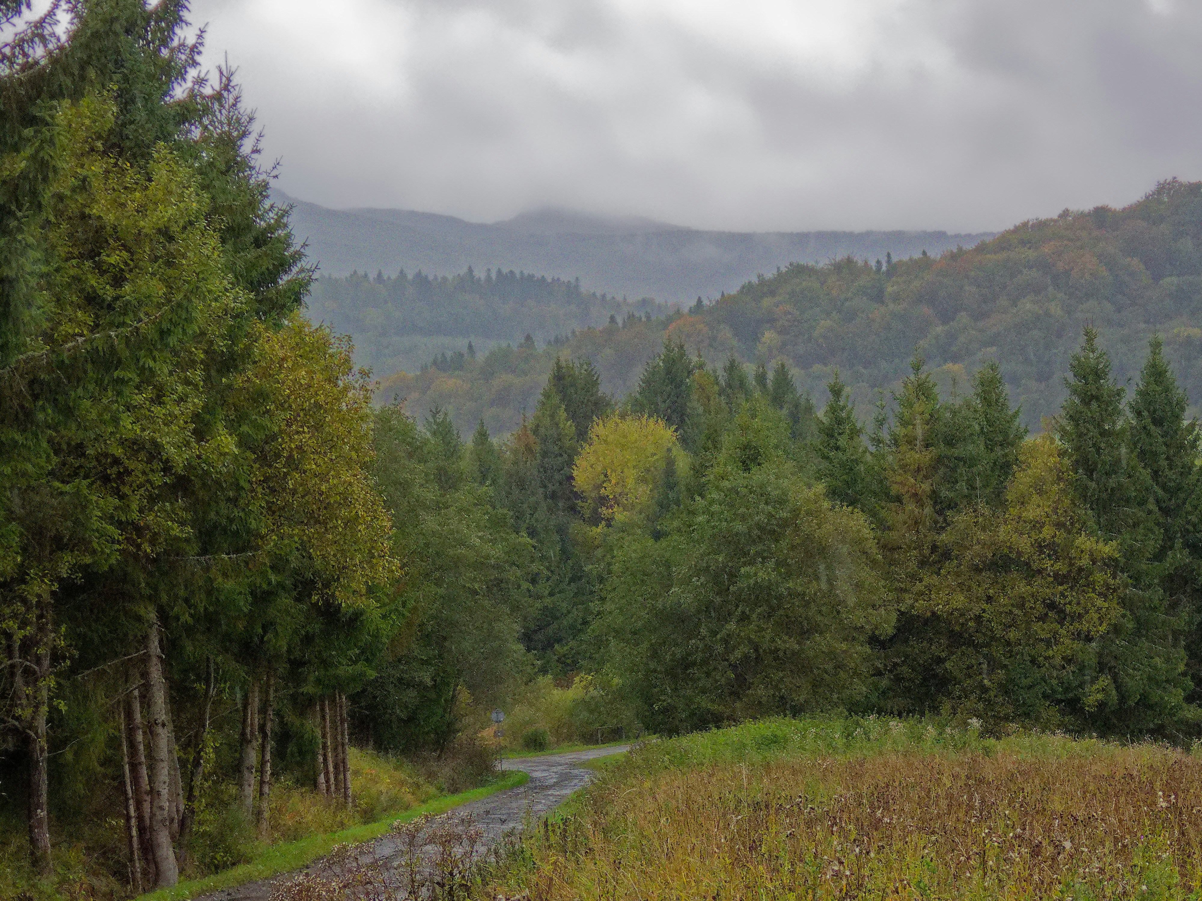 Photo by schneiderhenry