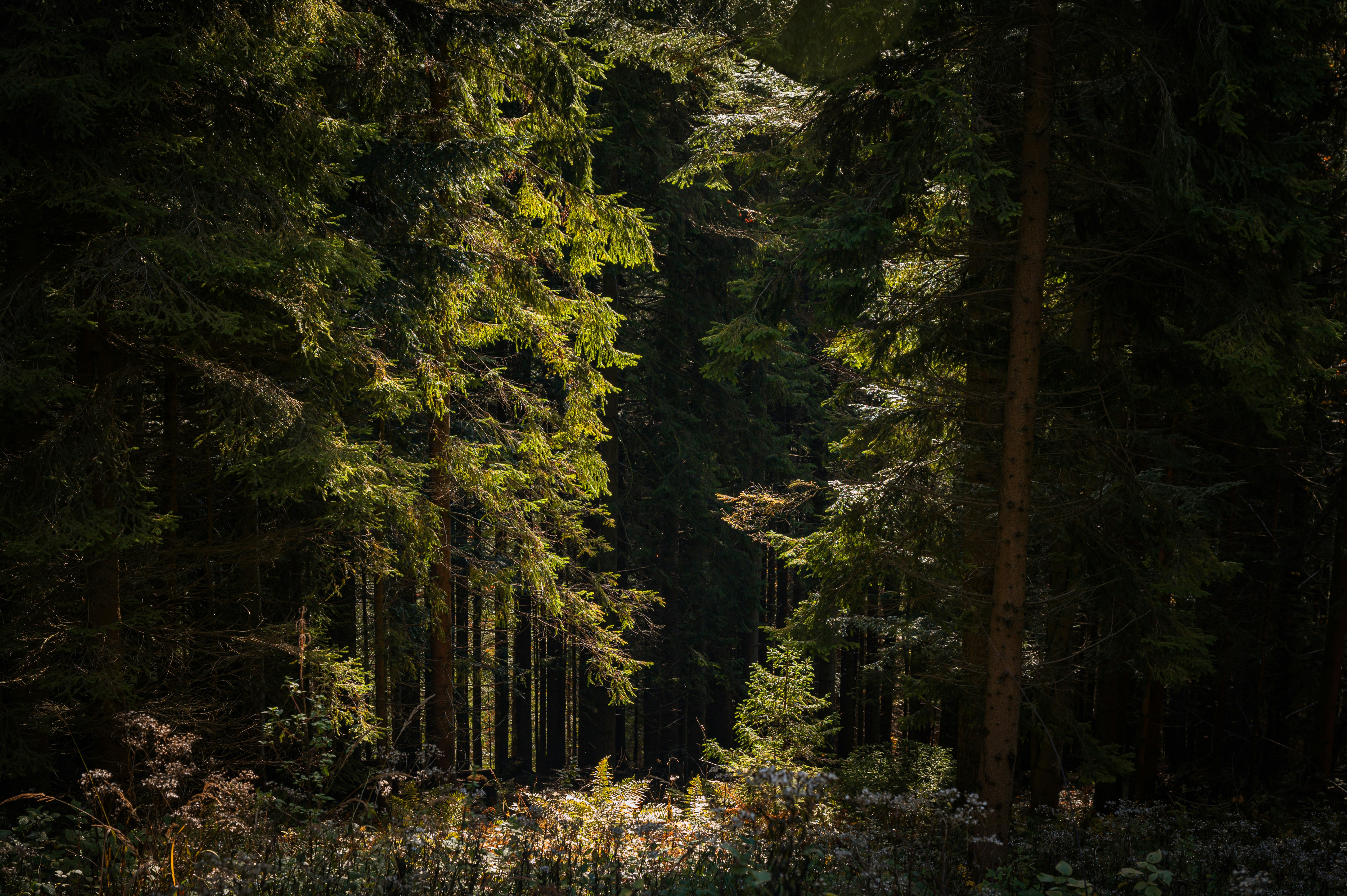 Photo by alexandra_p_d