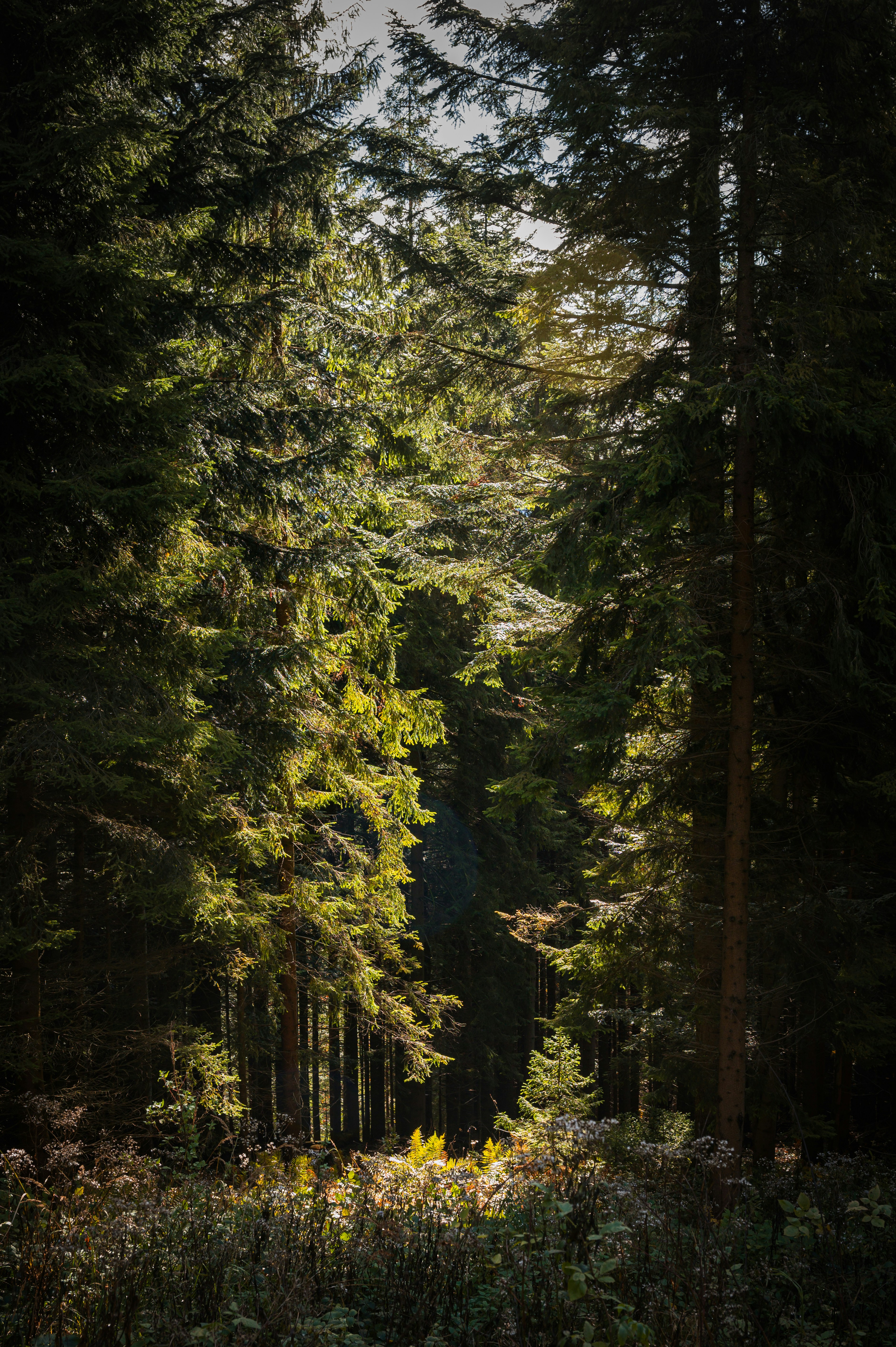 Photo by alexandra_p_d