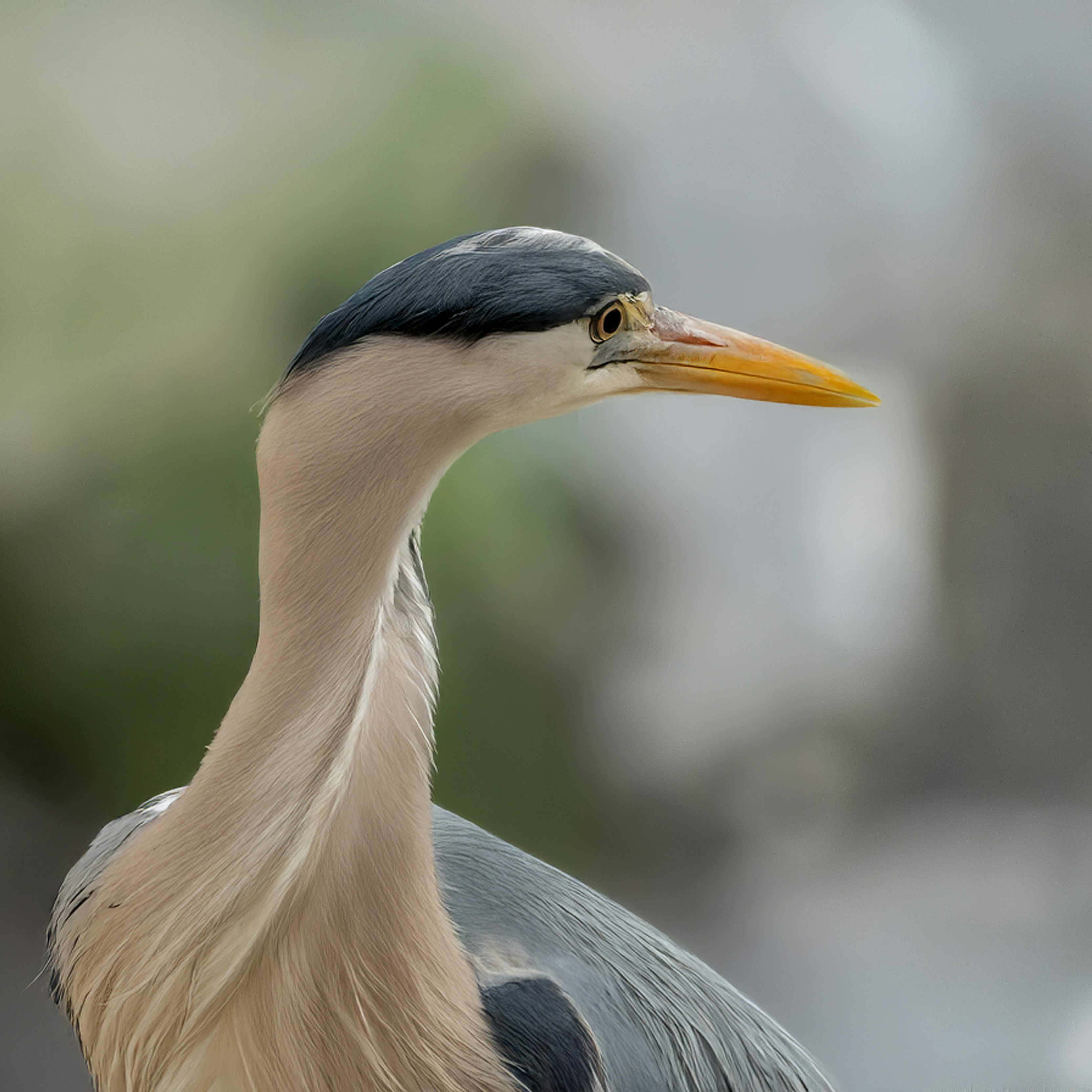 Photo by philrobson100