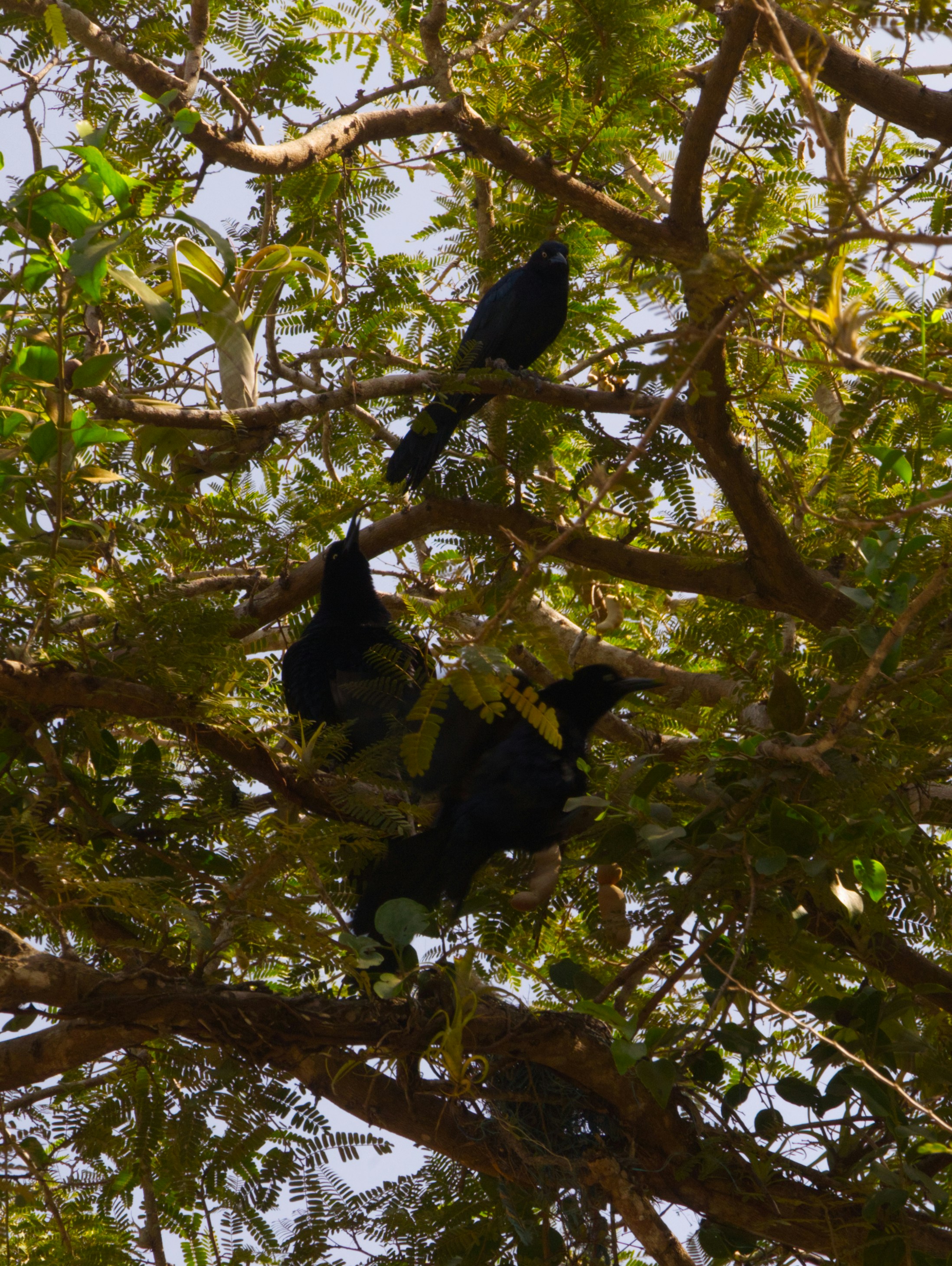 Photo by im_mark_aylward