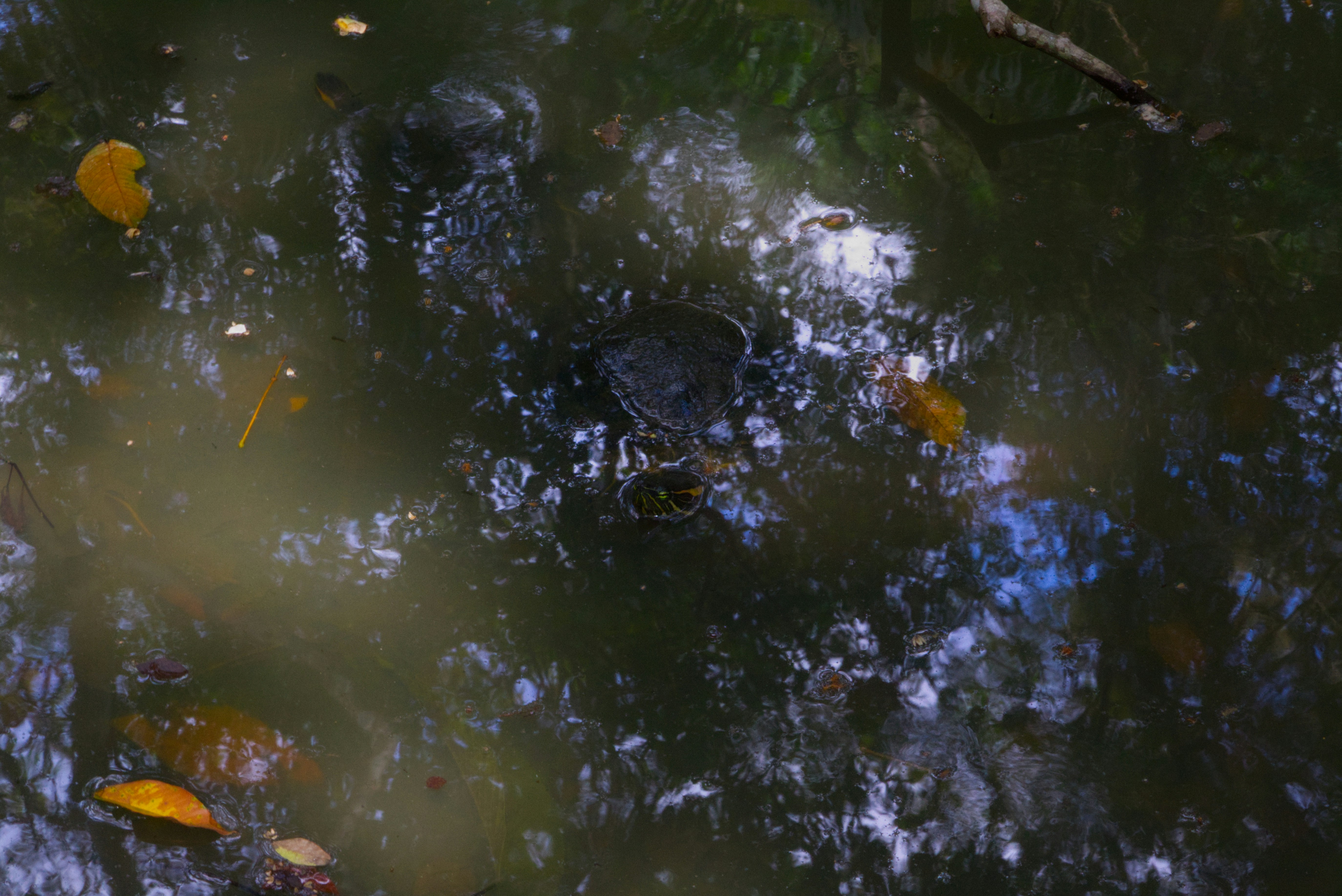 Photo by im_mark_aylward