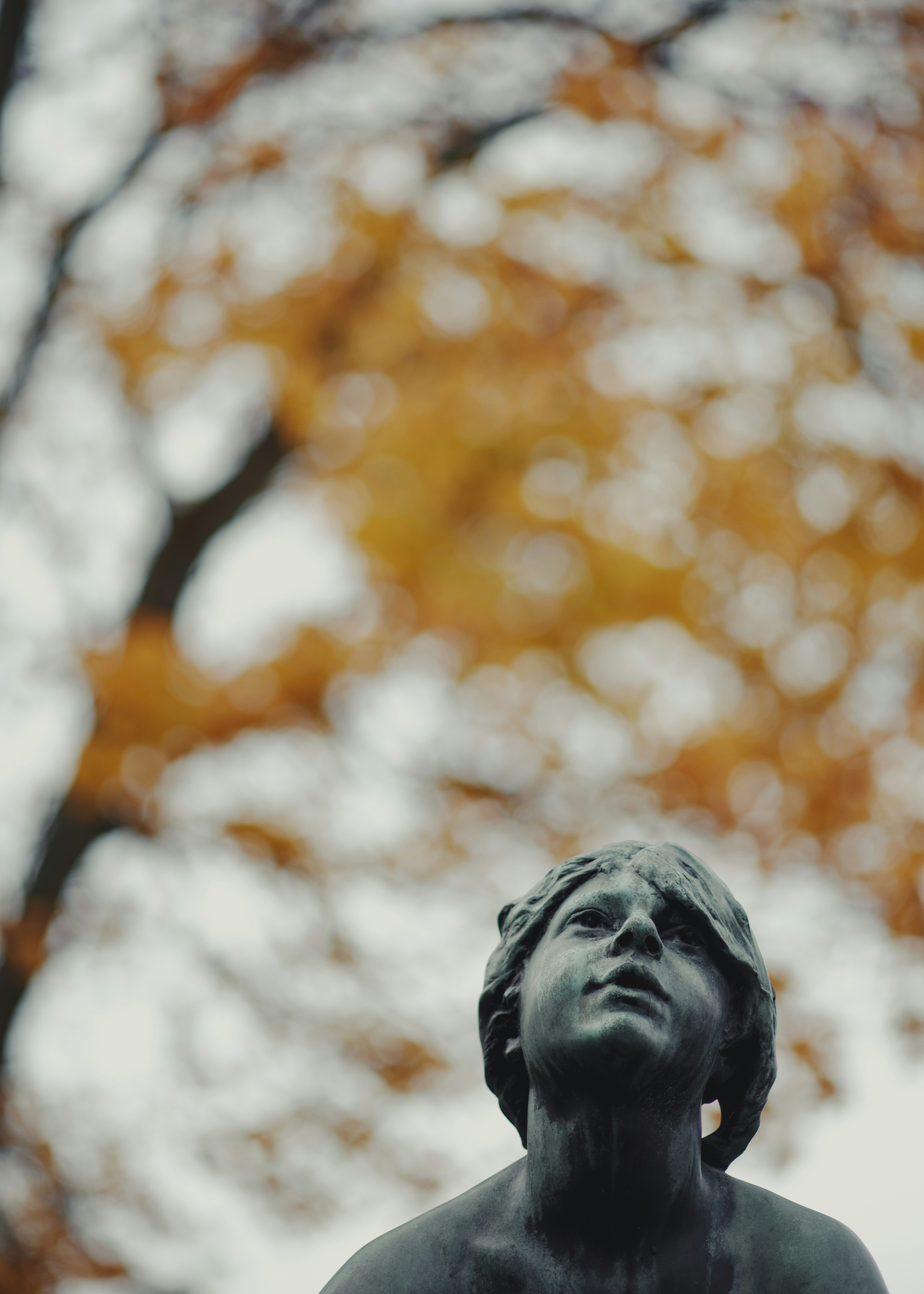 Photo by moeenz