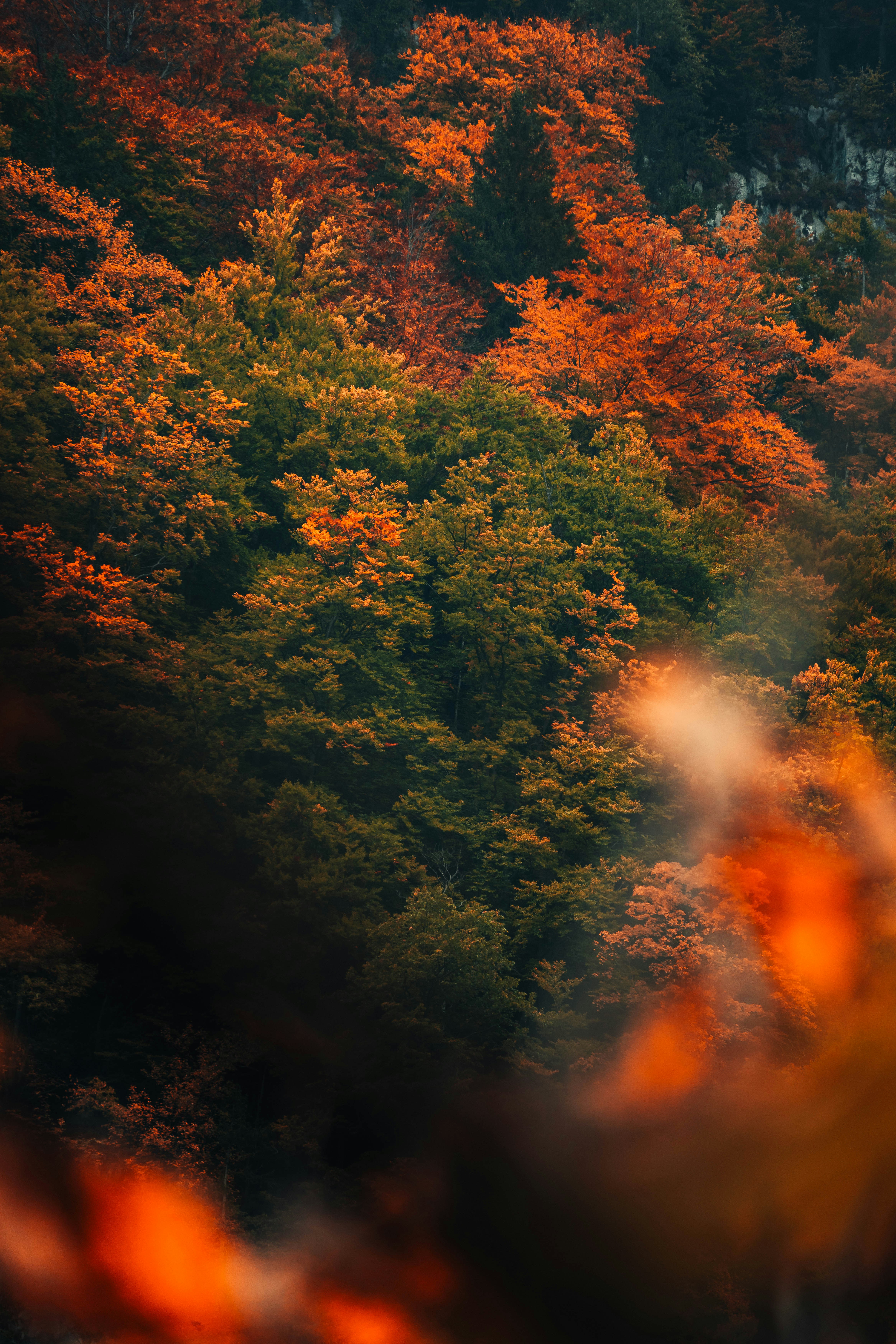 Photo by jonasdegener