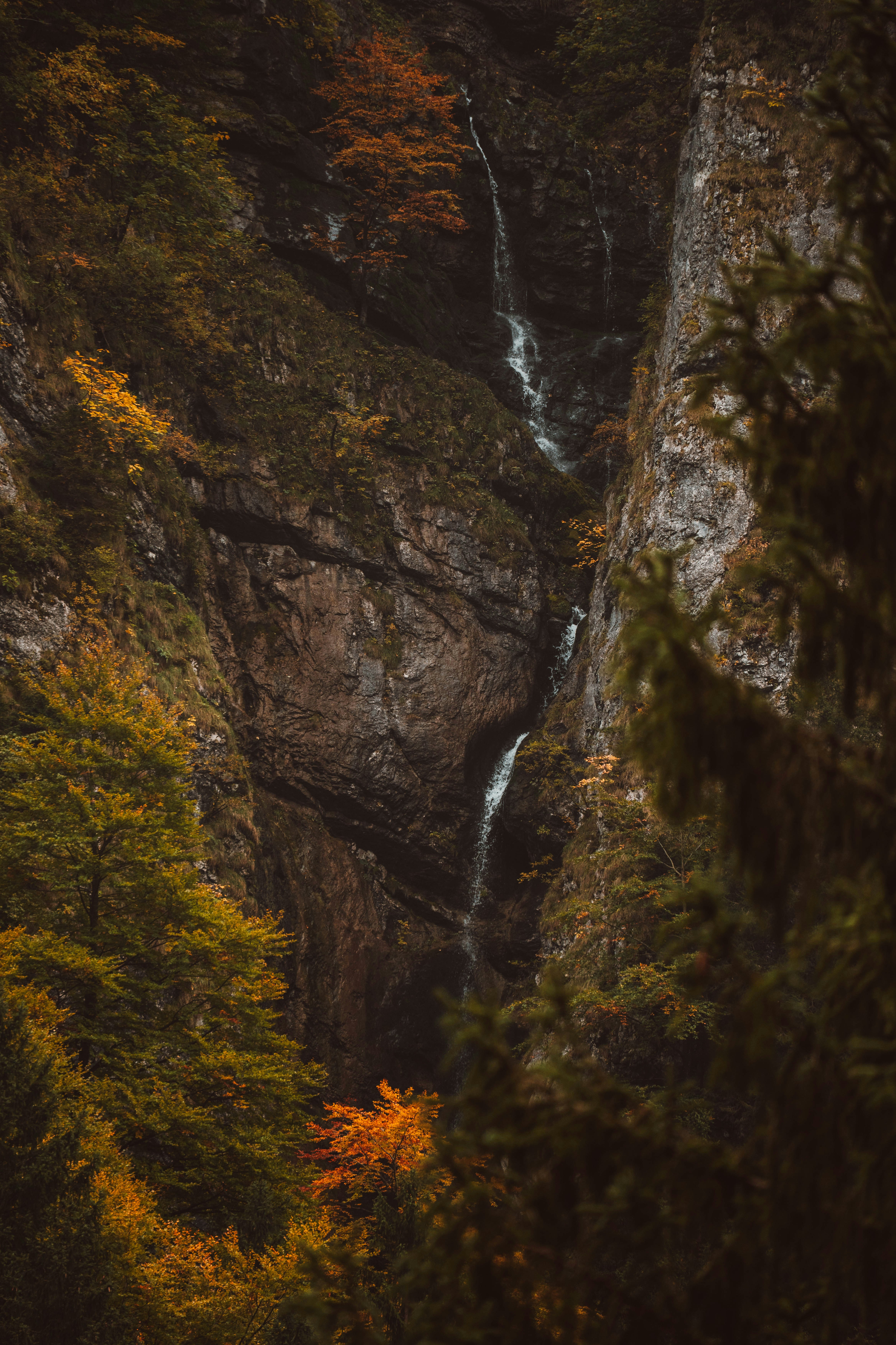 Photo by jonasdegener