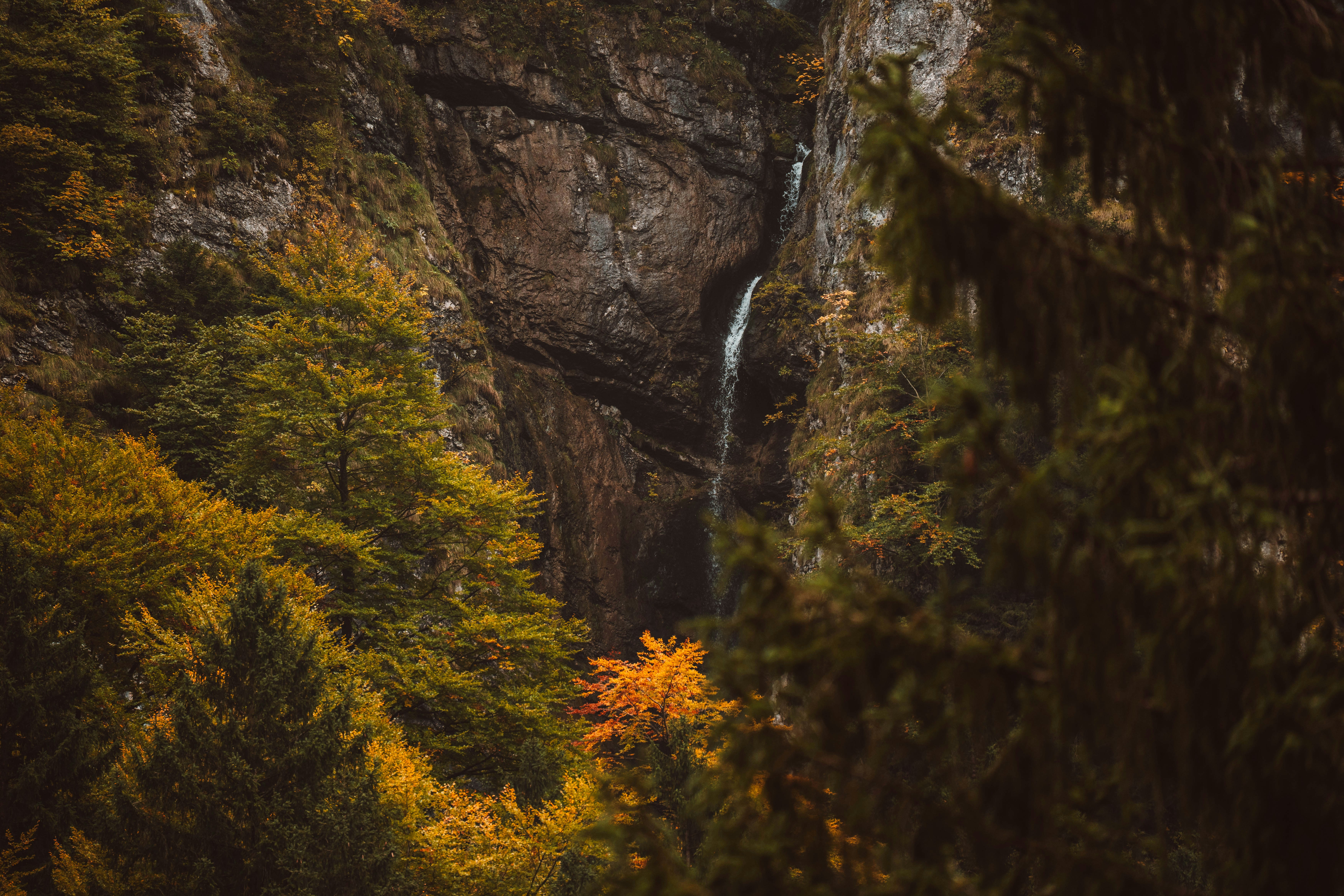 Photo by jonasdegener