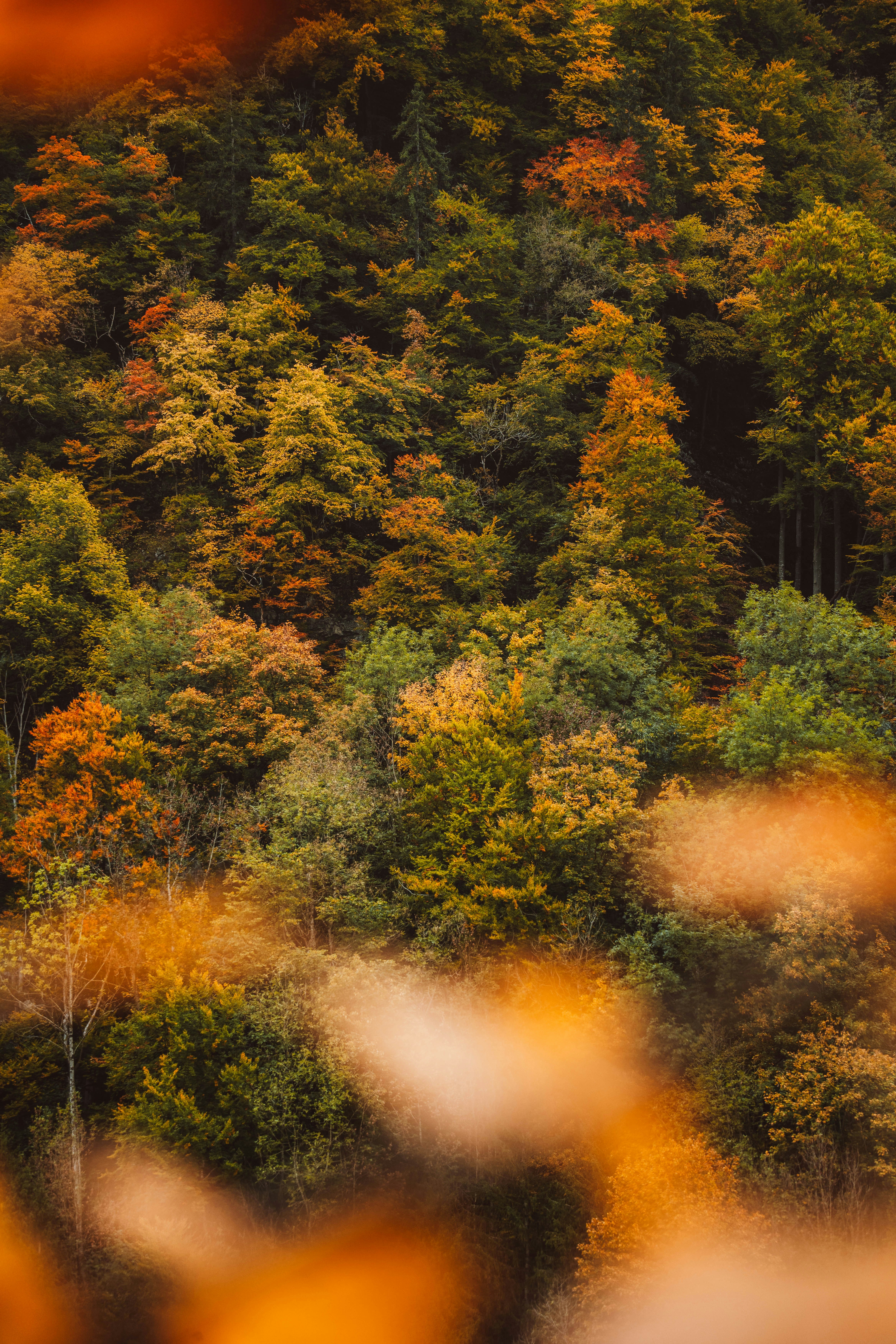 Photo by jonasdegener