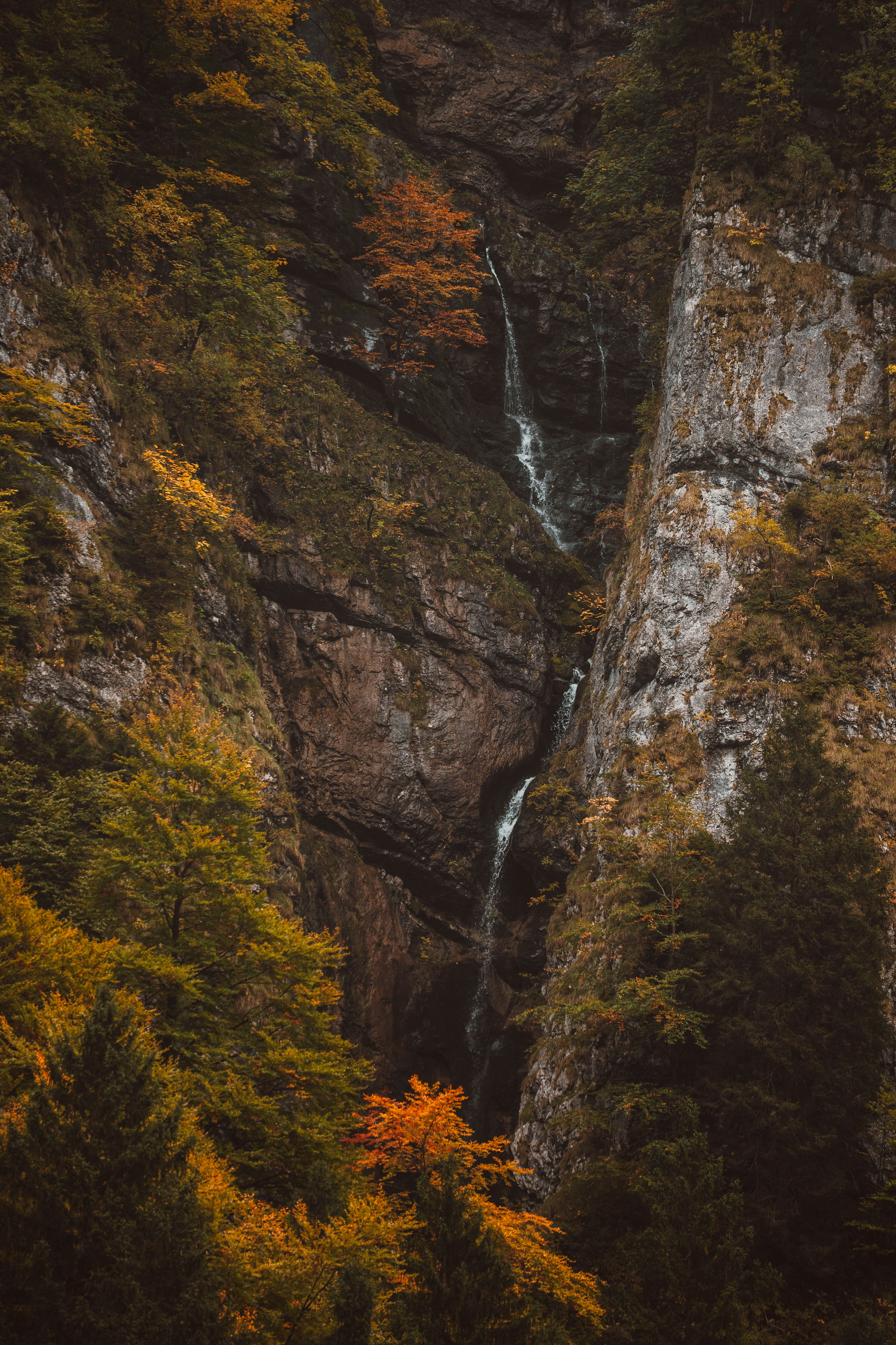 Photo by jonasdegener