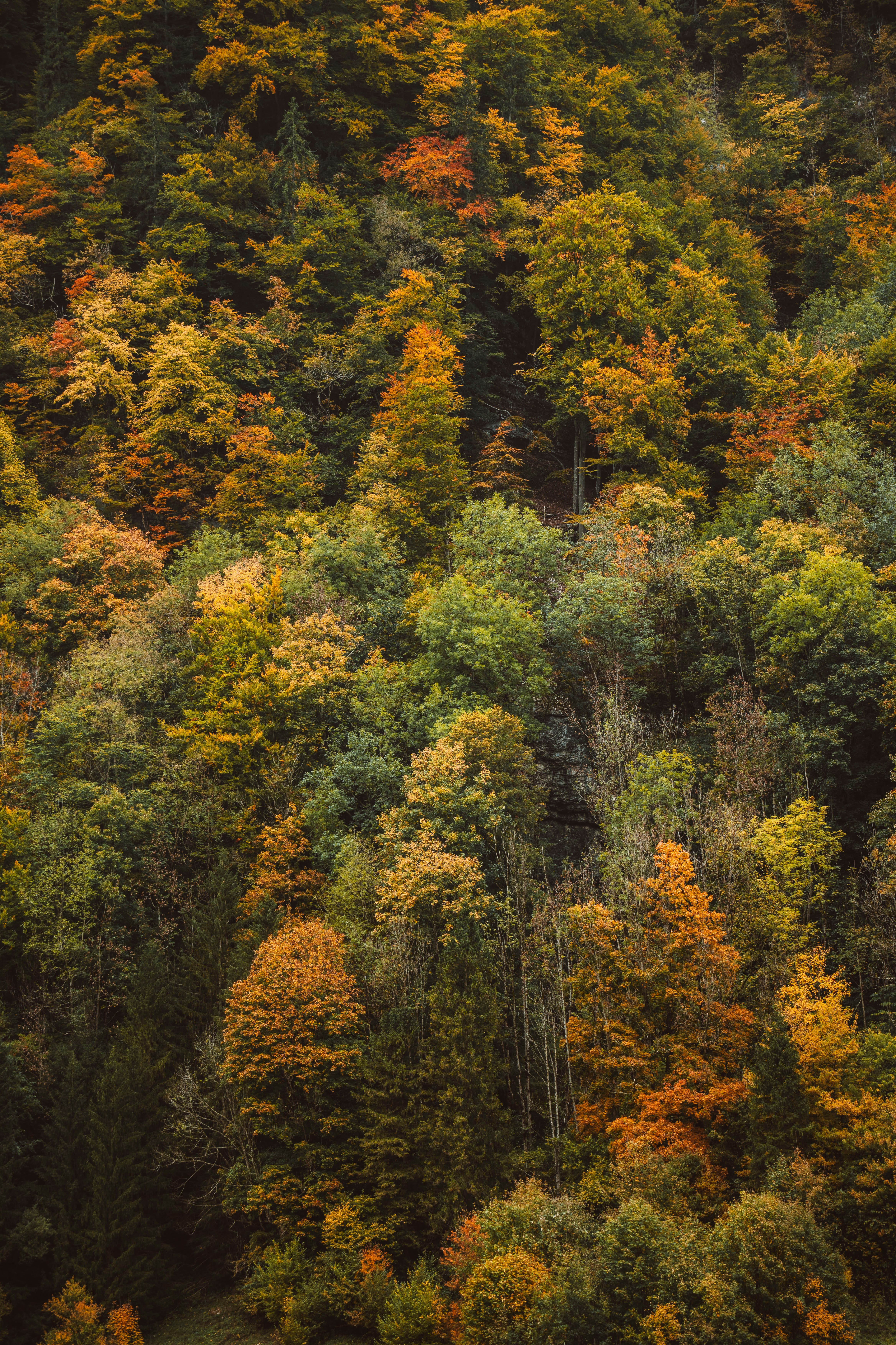 Photo by jonasdegener