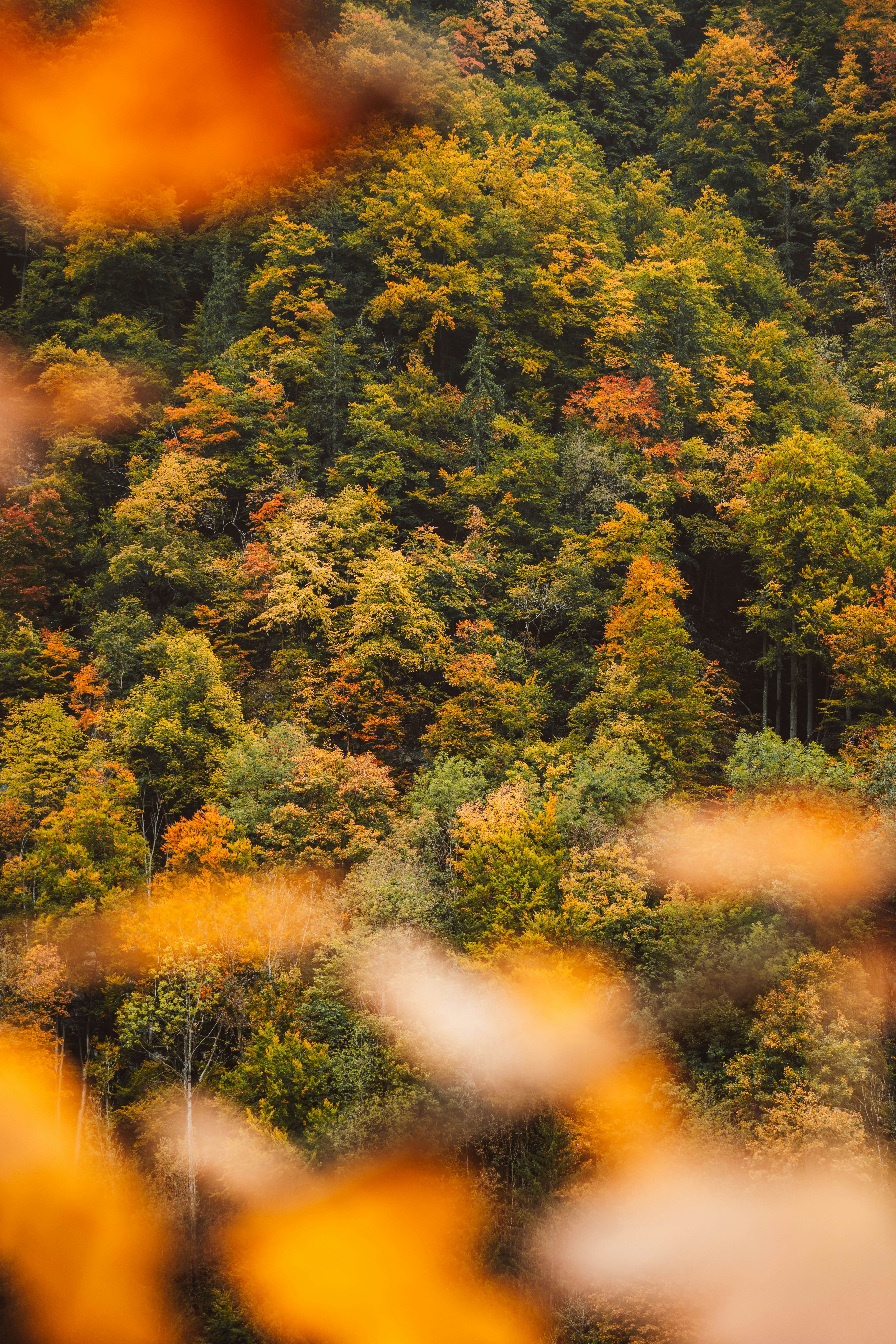 Photo by jonasdegener