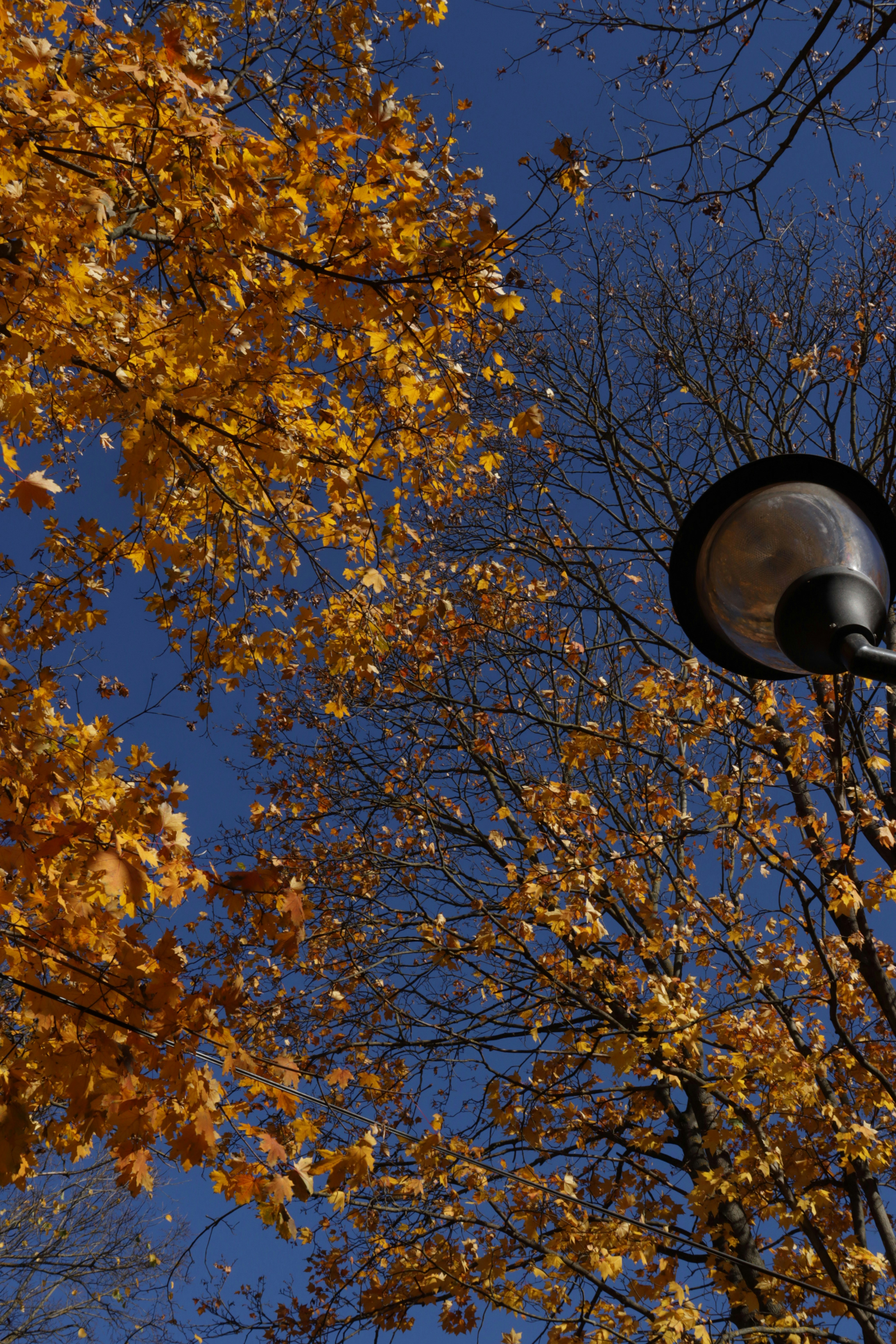 Photo by bored_mongoose