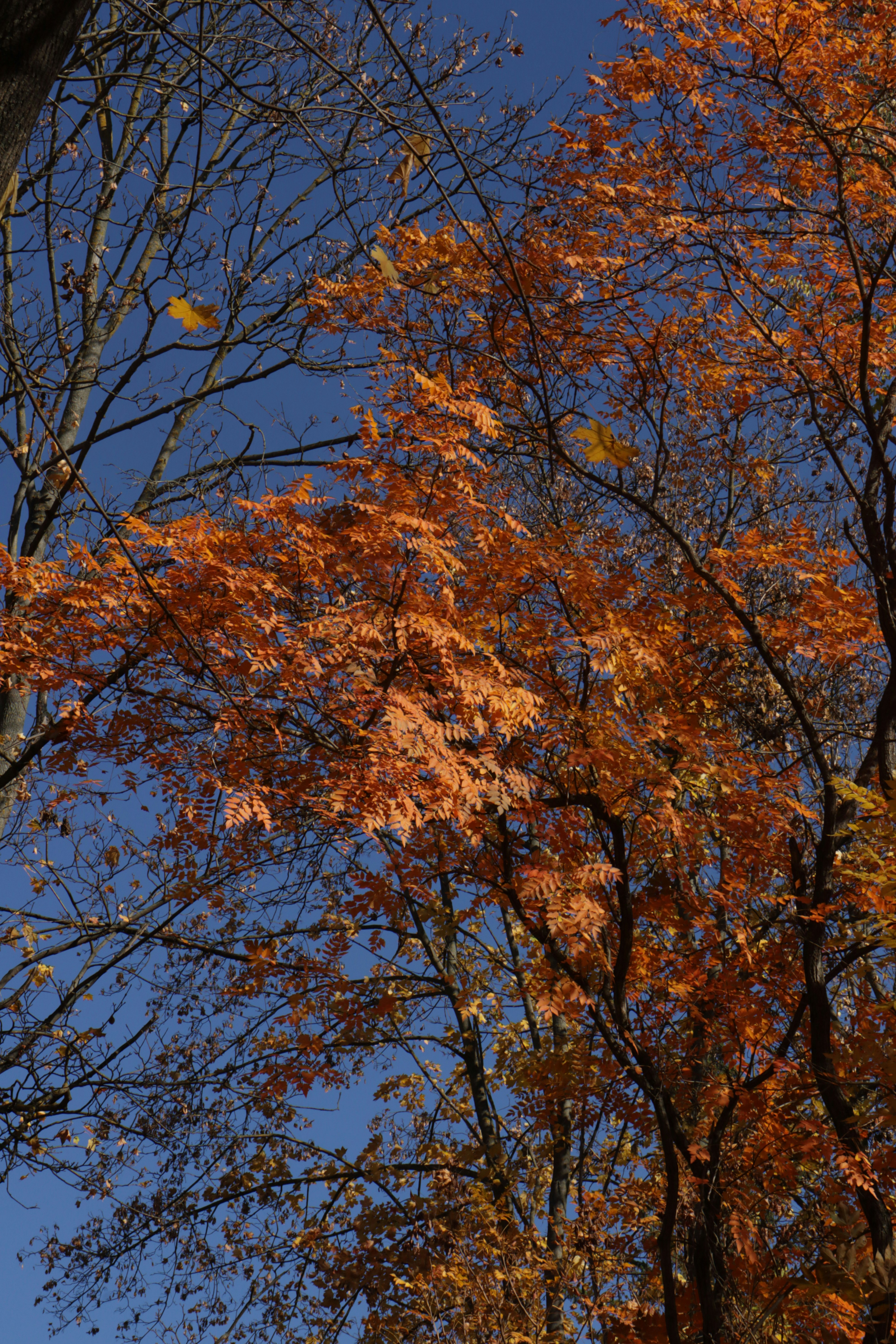 Photo by bored_mongoose