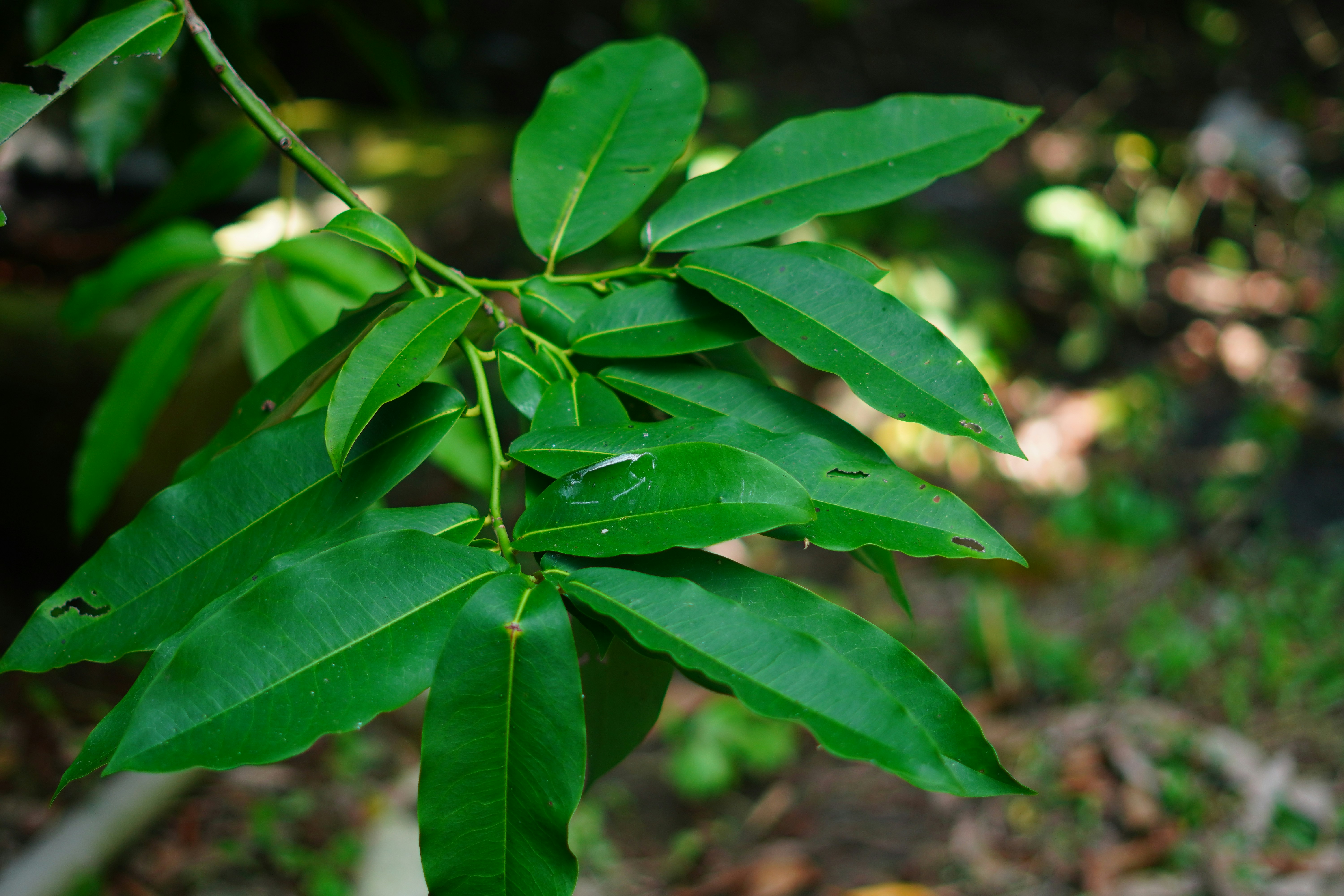 wedding exit wallpaper, wallpaper, Grand Wedding Exits: 5 Creative Ideas 5