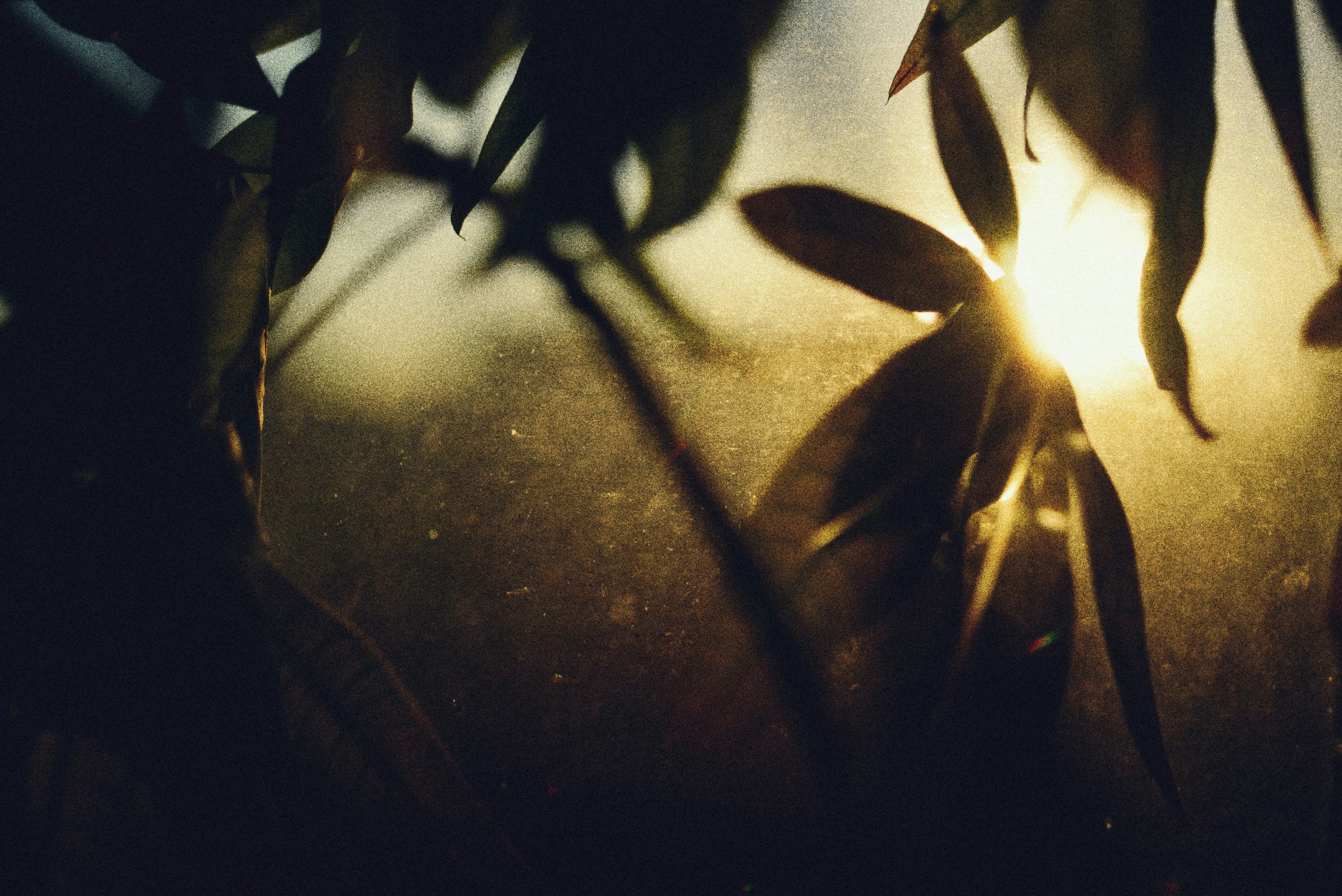 Photo by cherstve_pechivo