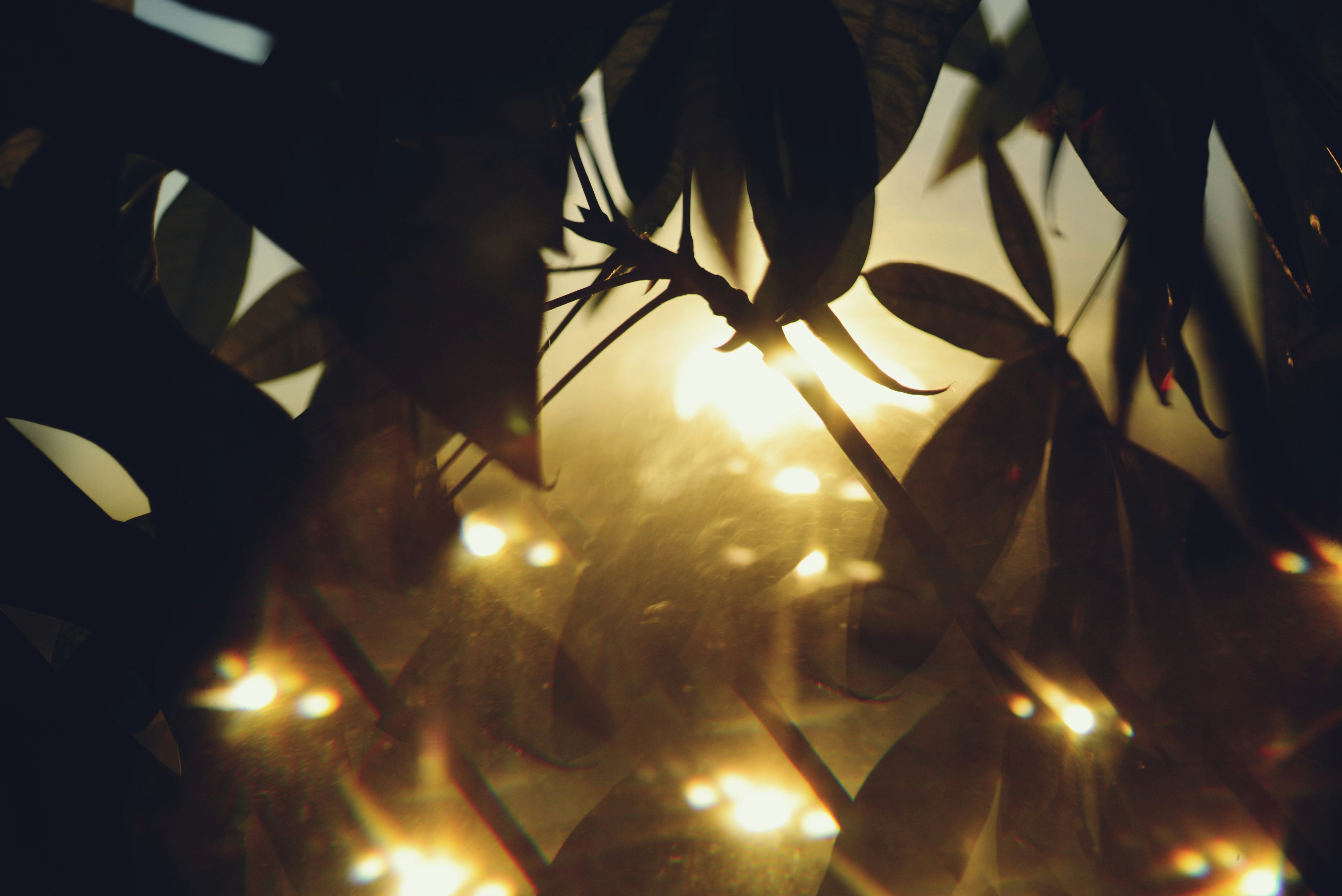 Photo by cherstve_pechivo