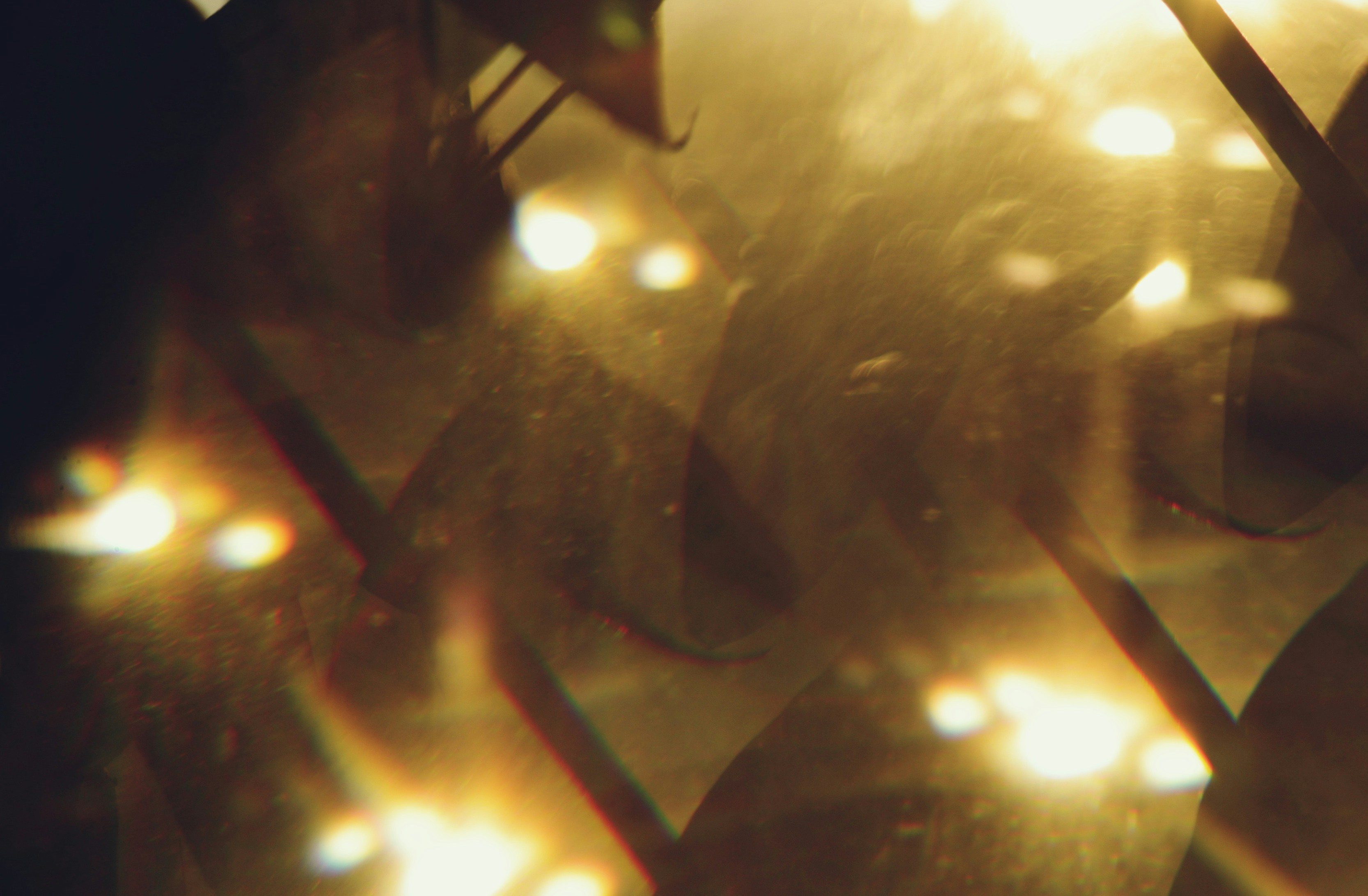 Photo by cherstve_pechivo